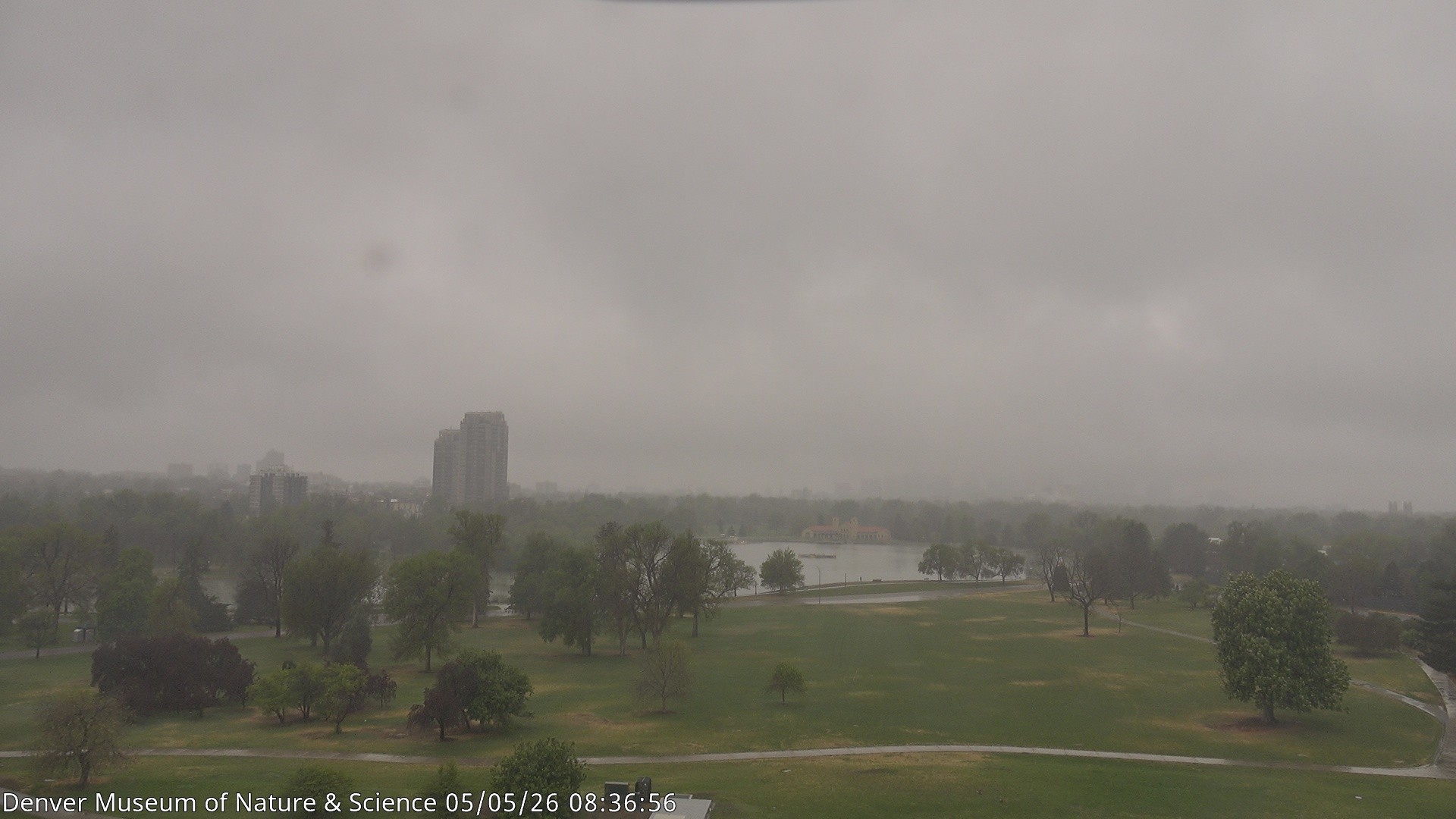 Archived image Webcam Denver's Skyline