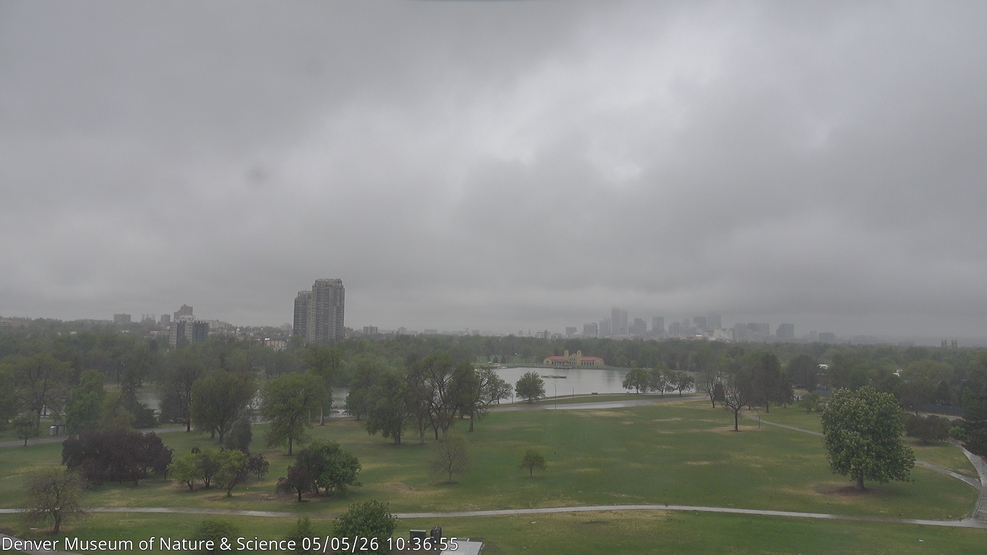 Archived image Webcam Denver's Skyline