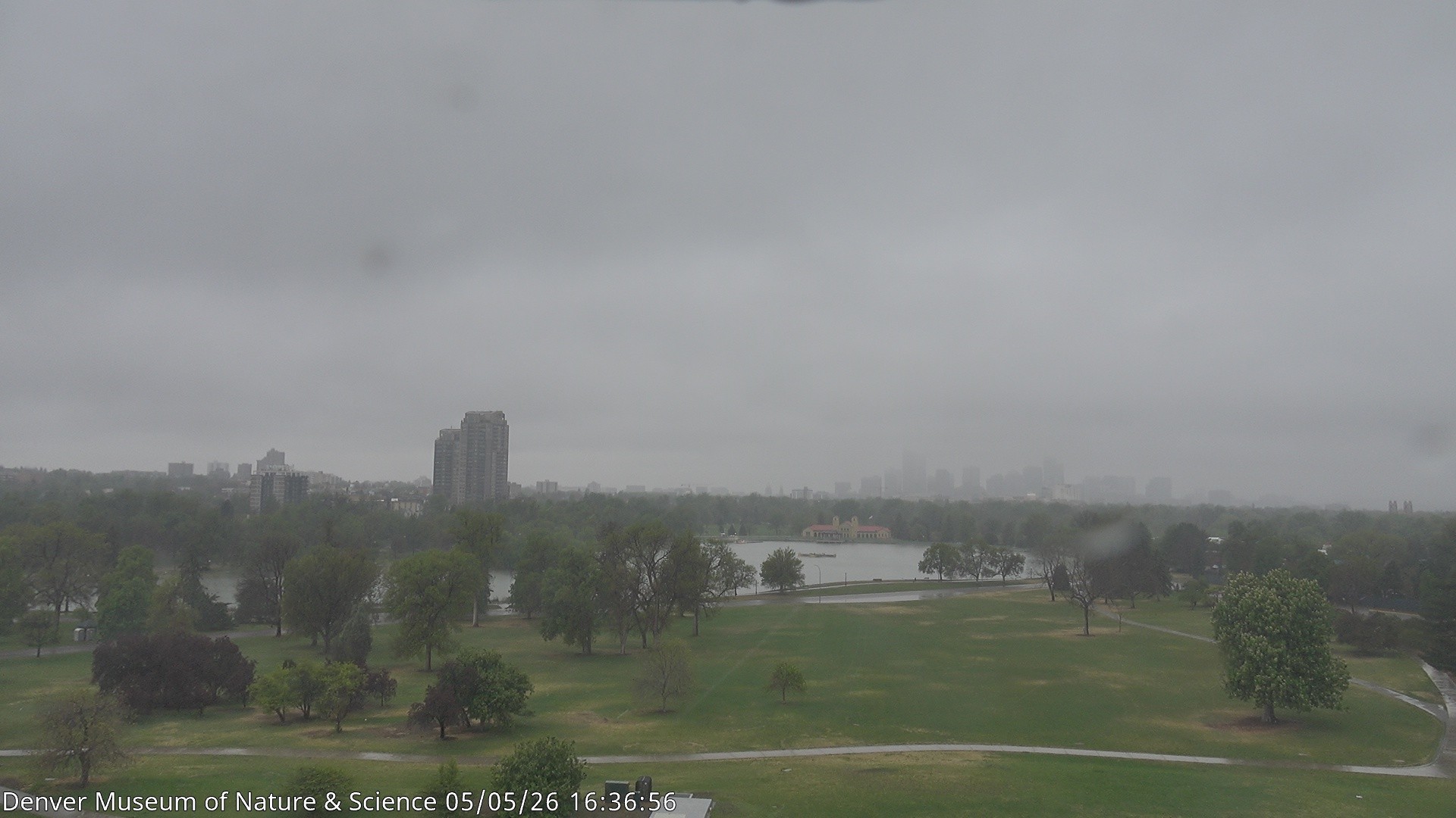 Archived image Webcam Denver's Skyline