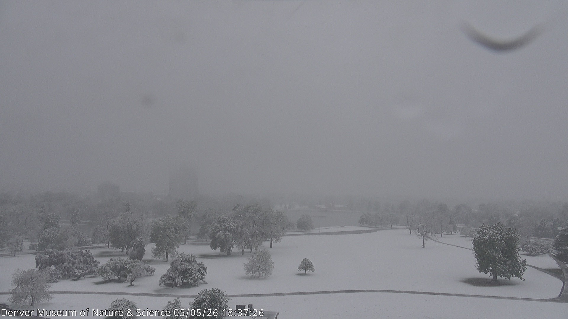 Archived image Webcam Denver's Skyline