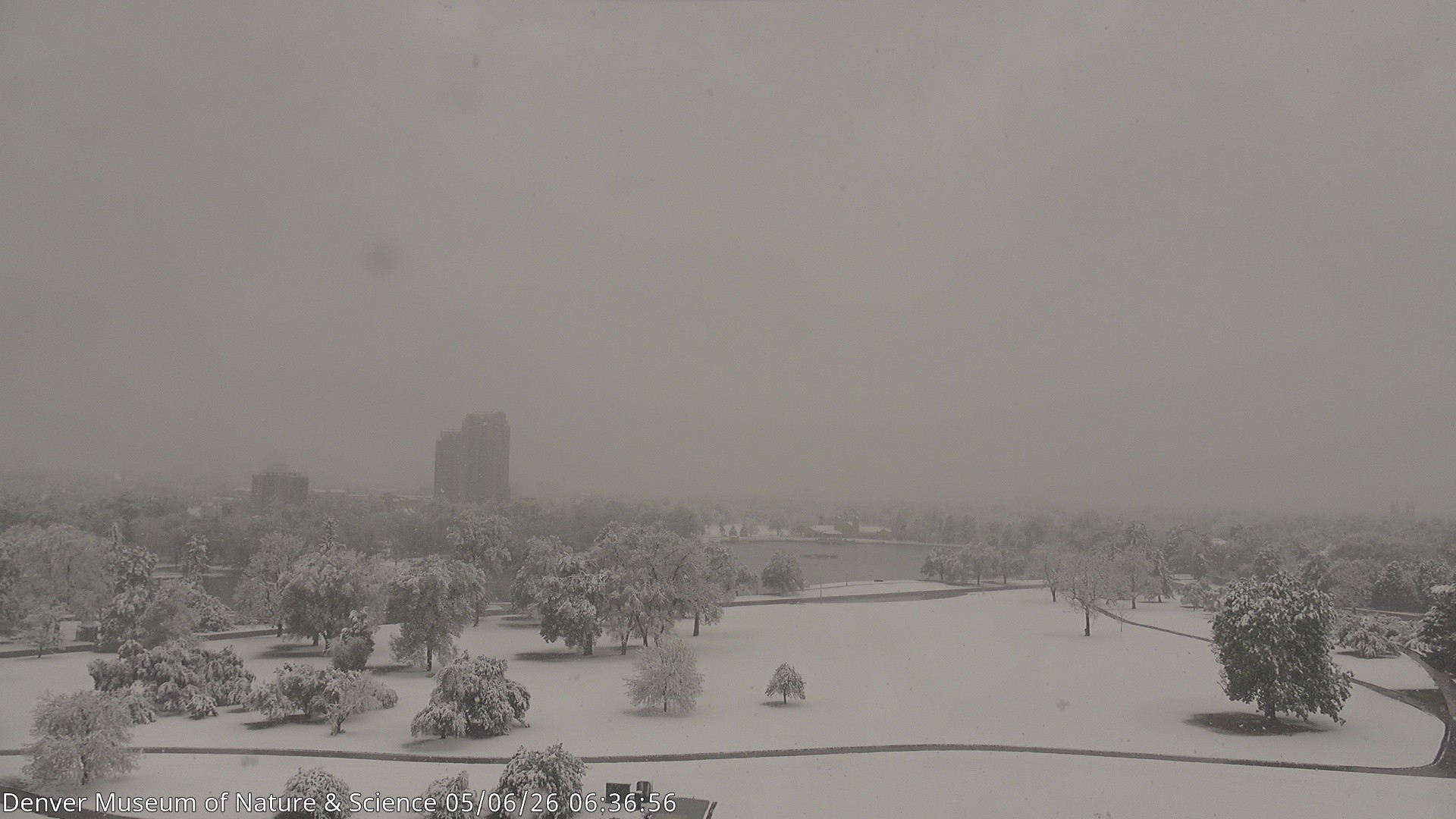 Archiv Foto Webcam Skyline Denver Colorado
