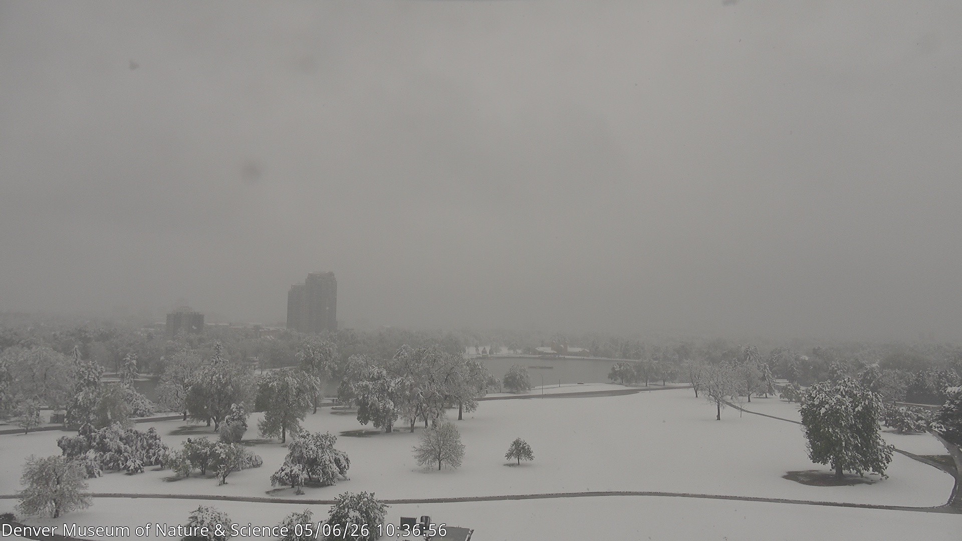 Archiv Foto Webcam Skyline Denver Colorado