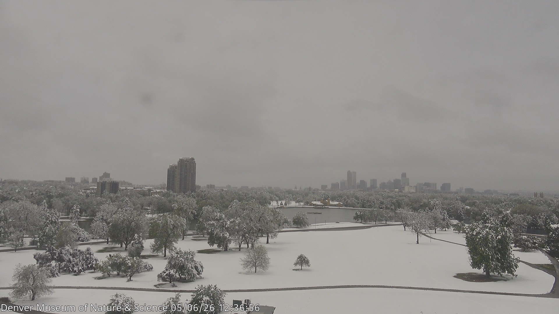 Archiv Foto Webcam Skyline Denver Colorado