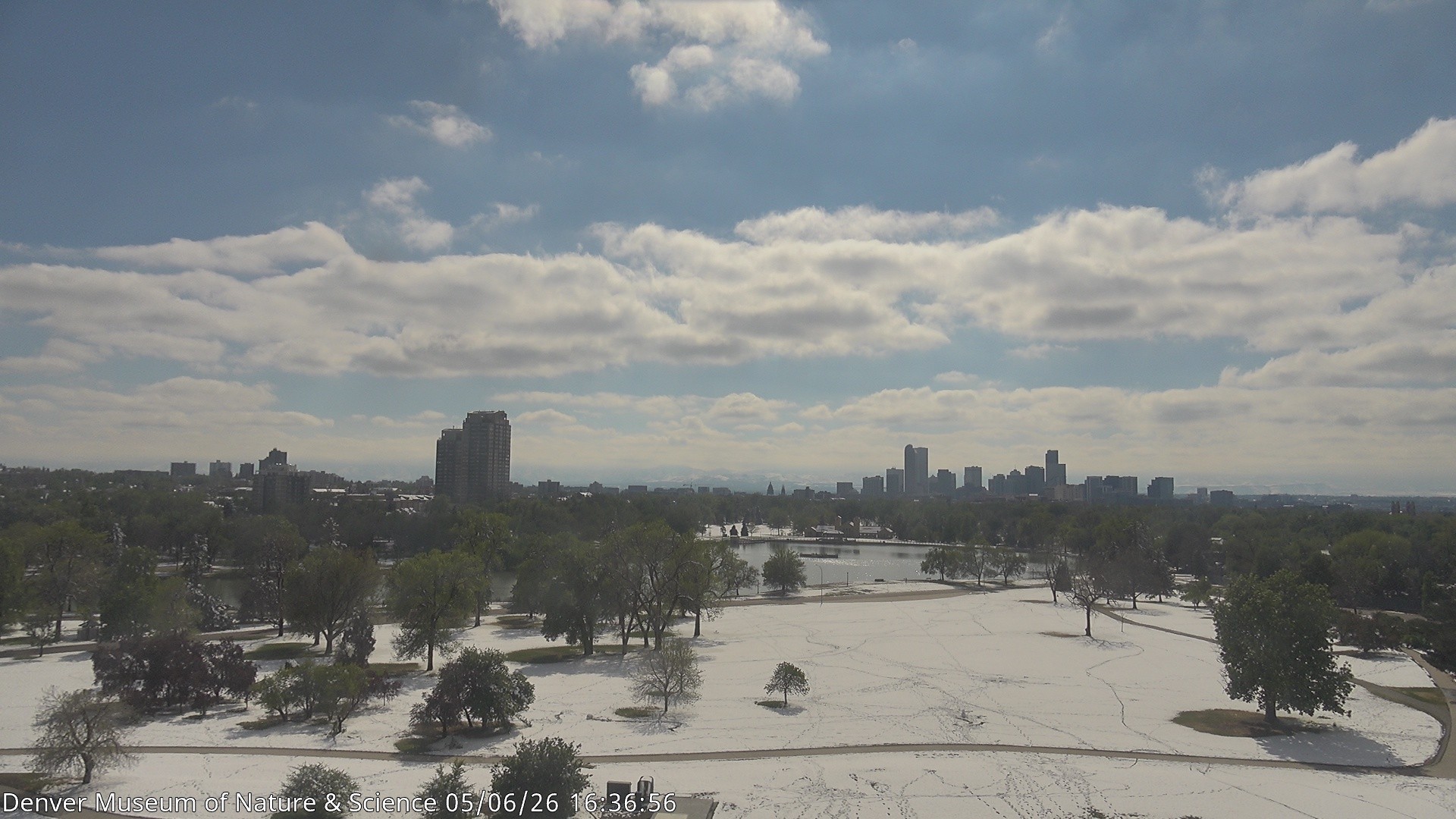 Archiv Foto Webcam Skyline Denver Colorado