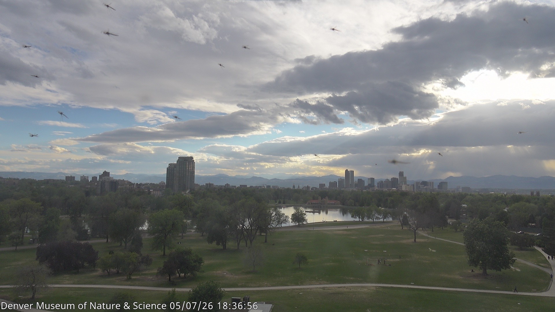 Archived image Webcam Denver's Skyline