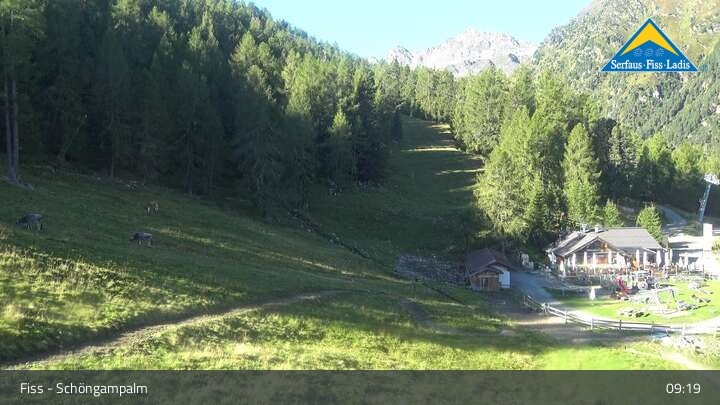 Archiv Foto Webcam Serfaus-Fiss-Ladis: Schöngampalm