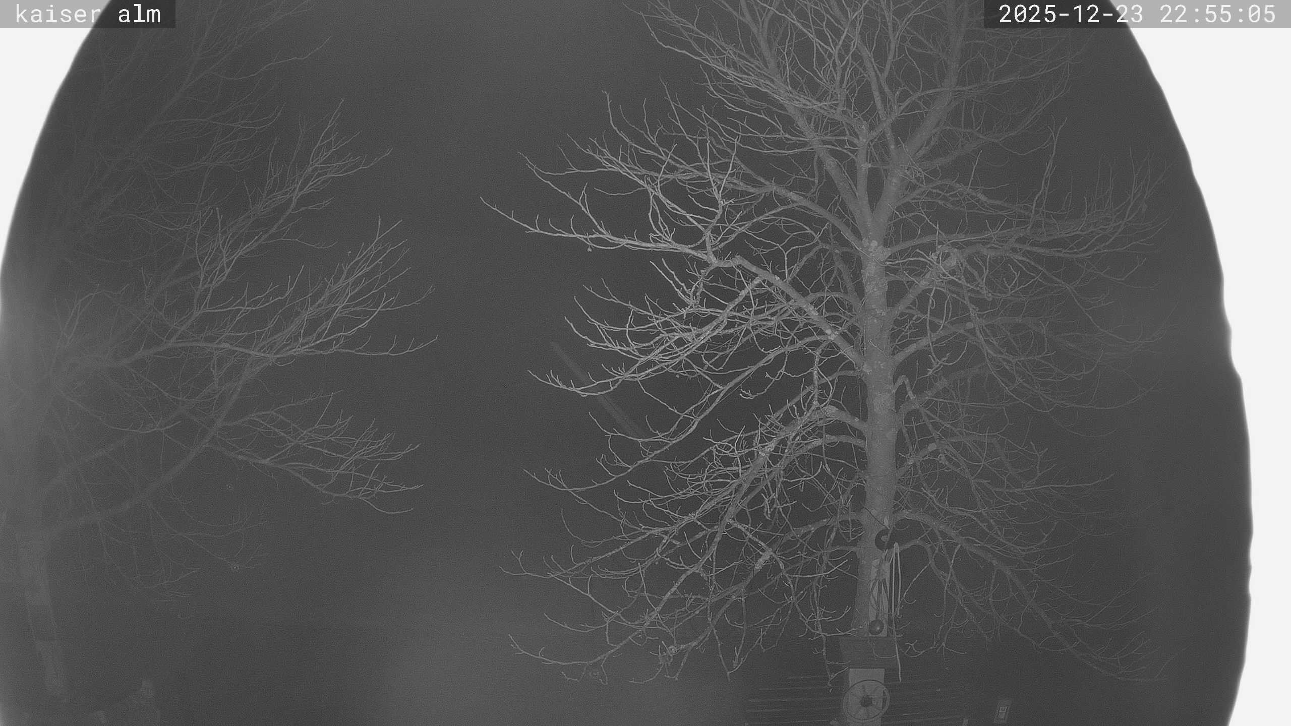 Archiv Foto Webcam Kaiseralm Breitenberg