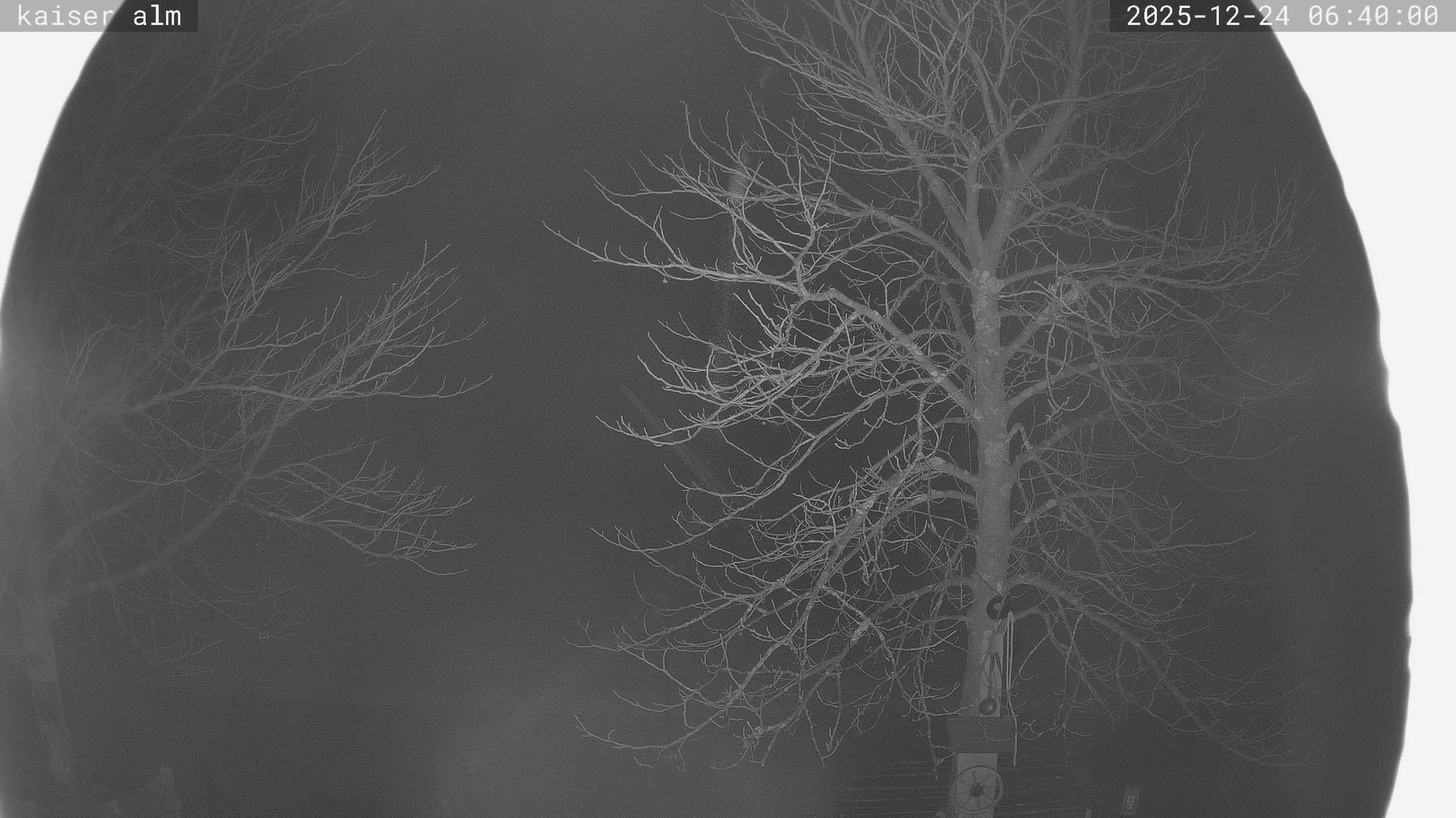 Archiv Foto Webcam Kaiseralm Breitenberg