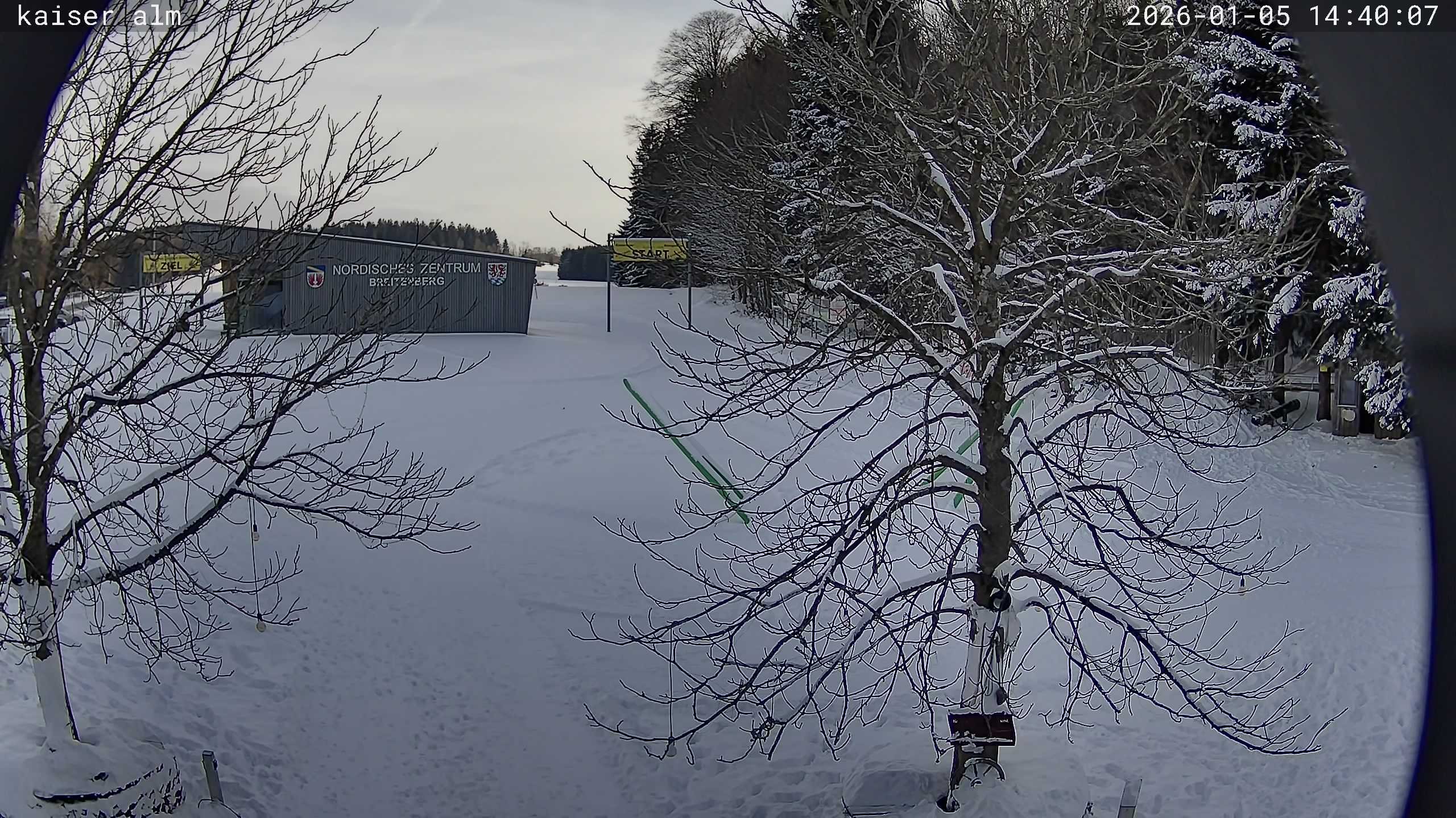 Archiv Foto Webcam Kaiseralm Breitenberg