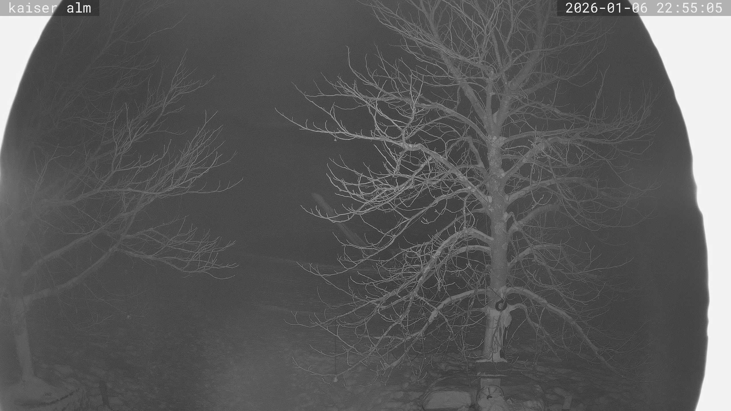 Archiv Foto Webcam Kaiseralm Breitenberg