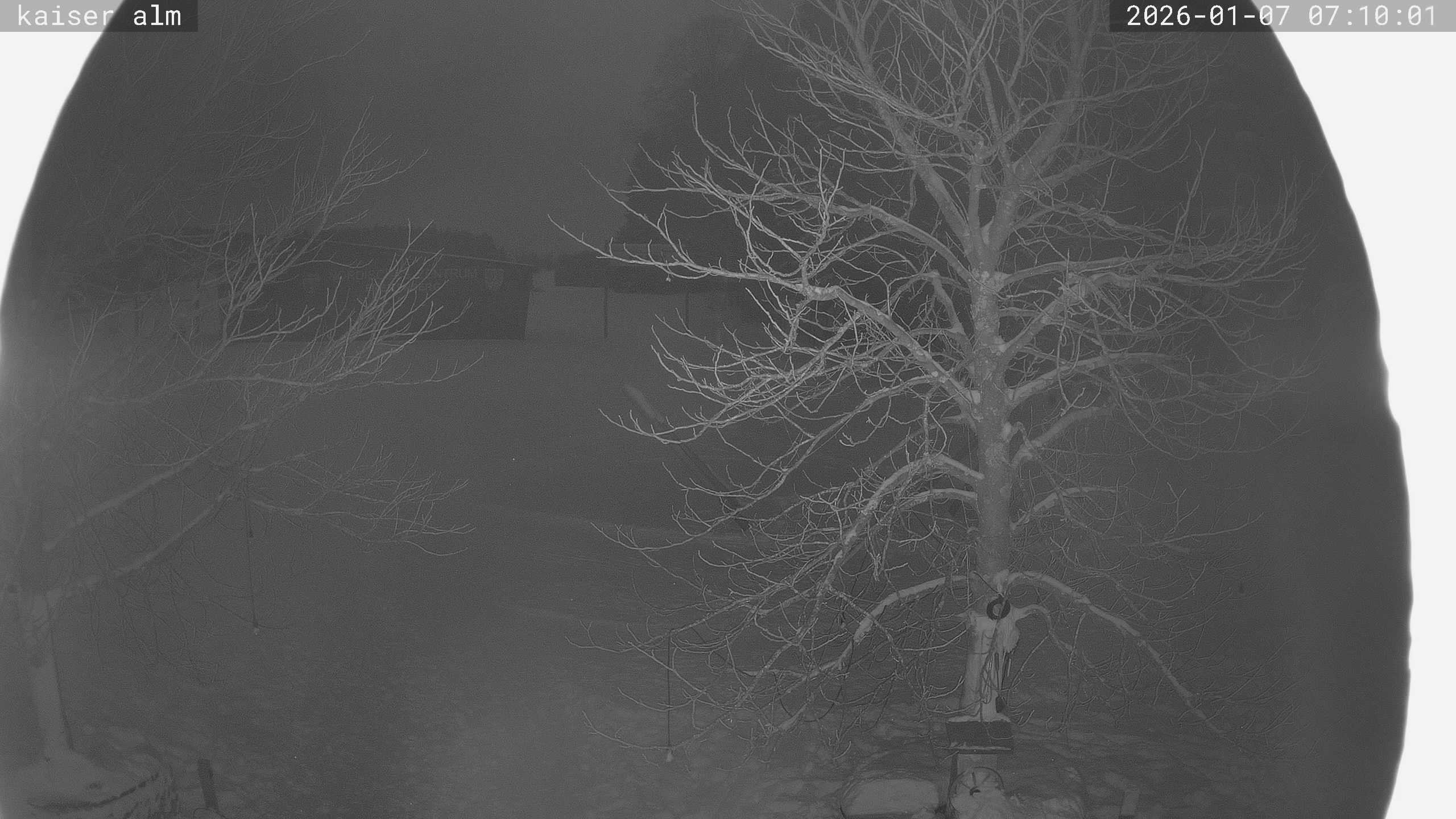 Archiv Foto Webcam Kaiseralm Breitenberg