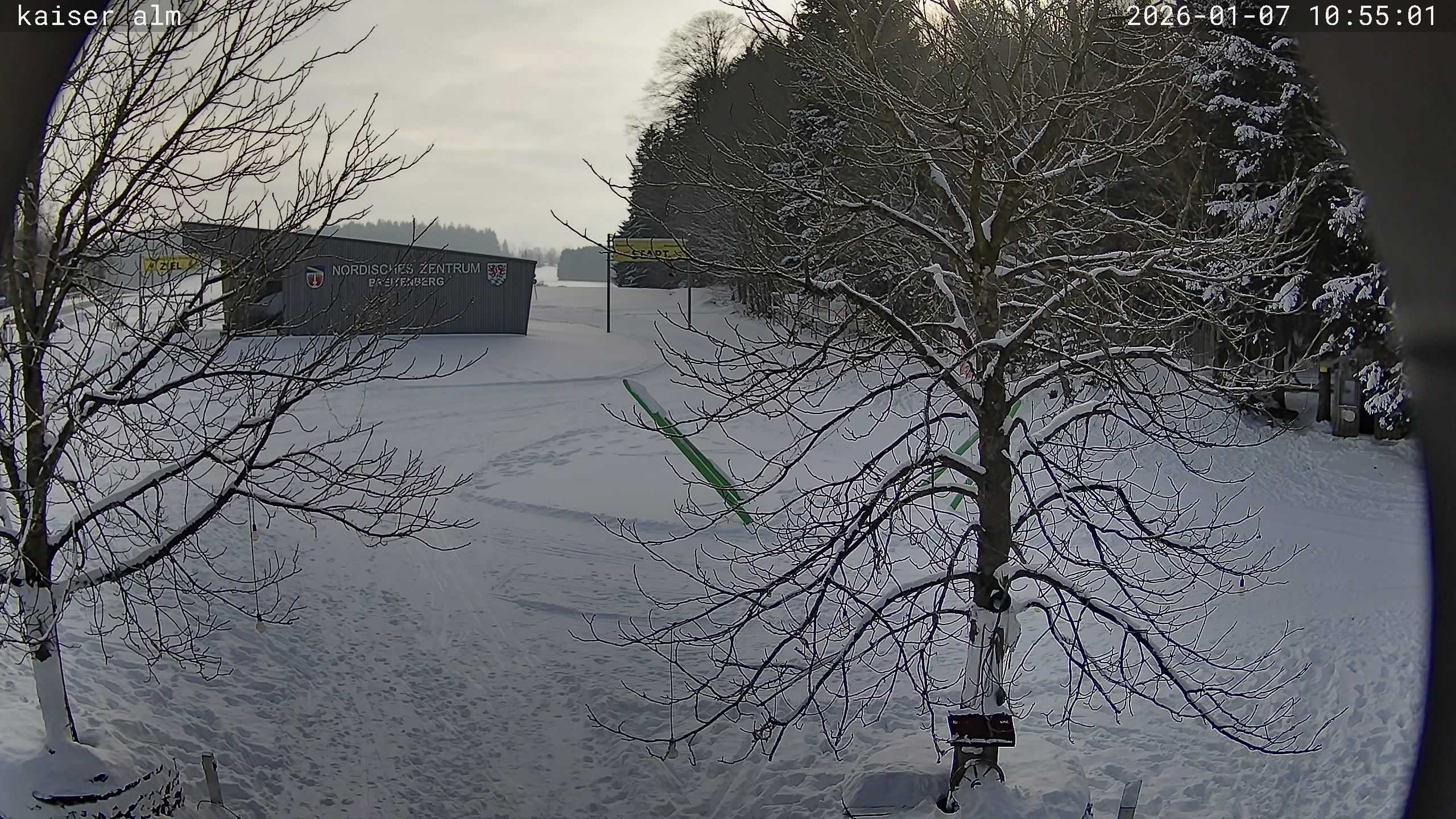 Archiv Foto Webcam Kaiseralm Breitenberg