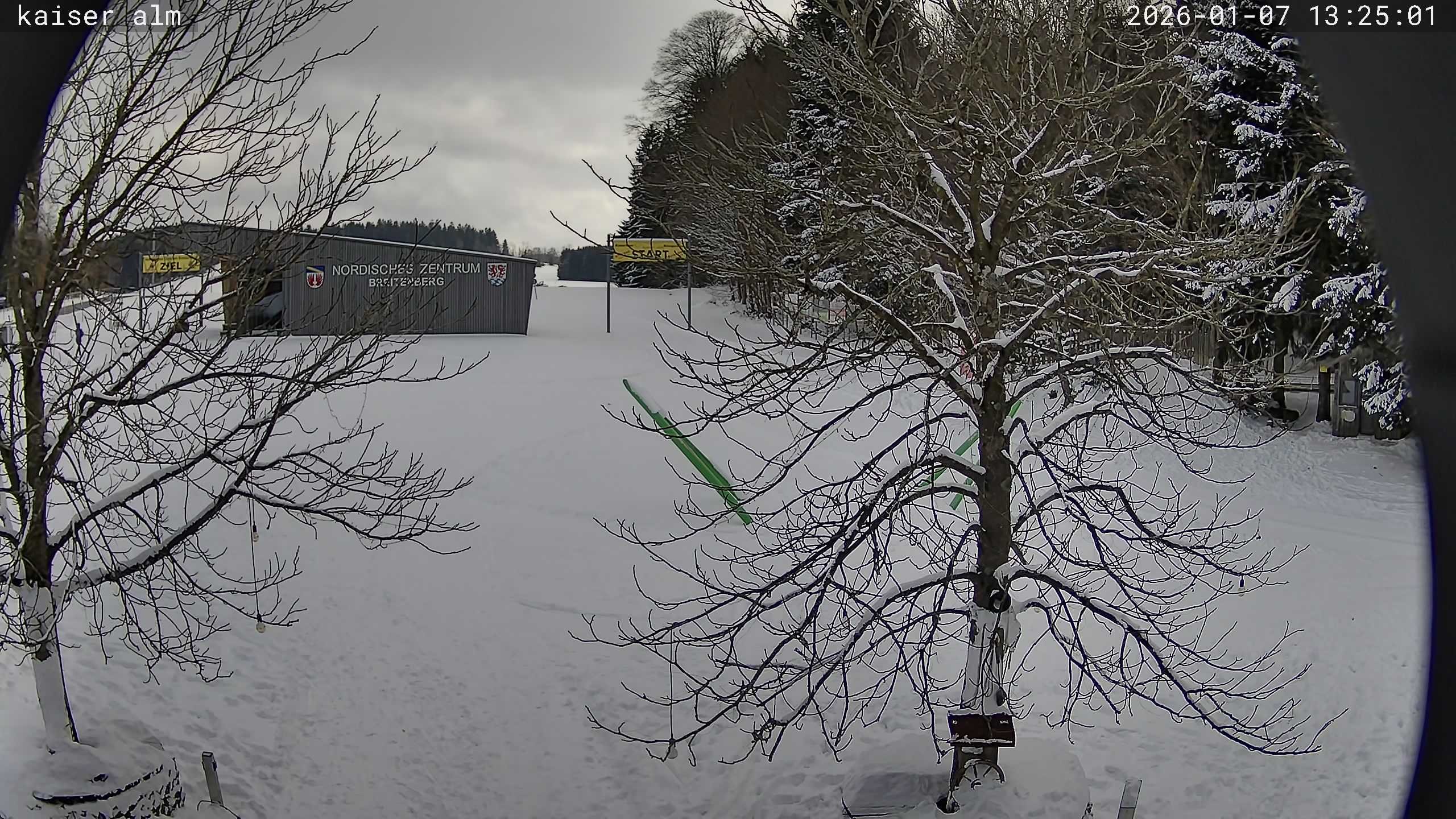 Archiv Foto Webcam Kaiseralm Breitenberg