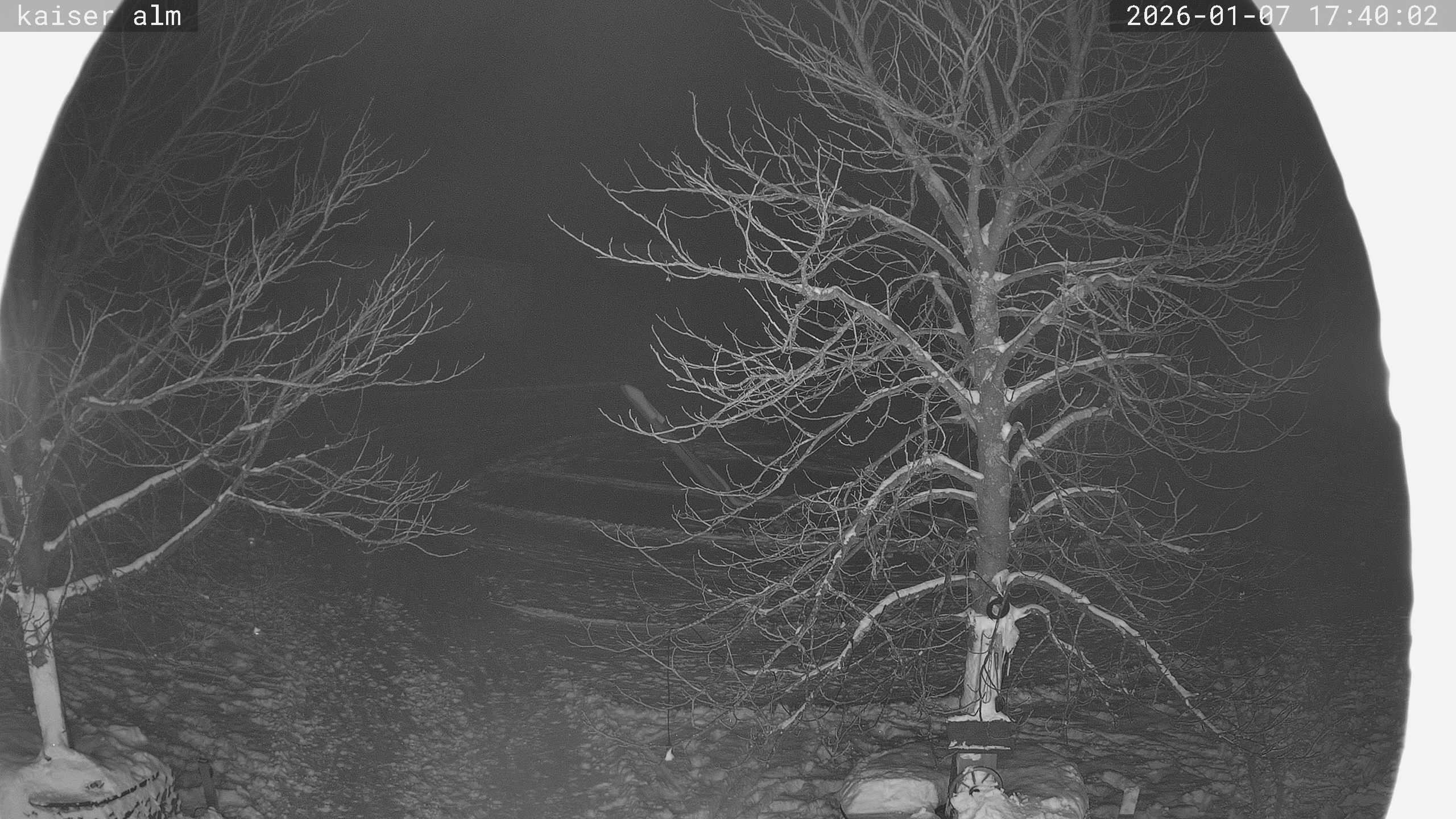 Archiv Foto Webcam Kaiseralm Breitenberg