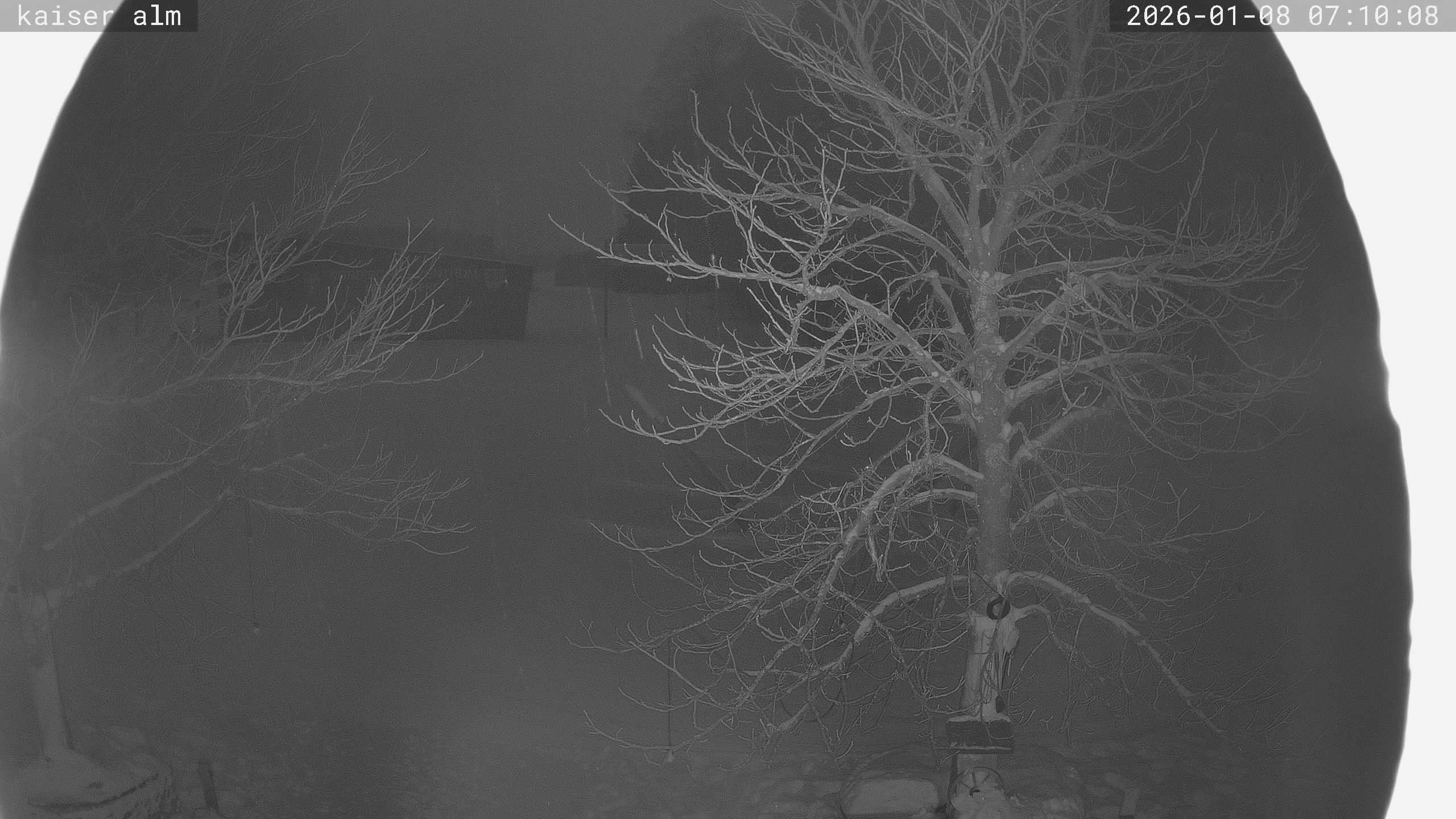 Archiv Foto Webcam Kaiseralm Breitenberg