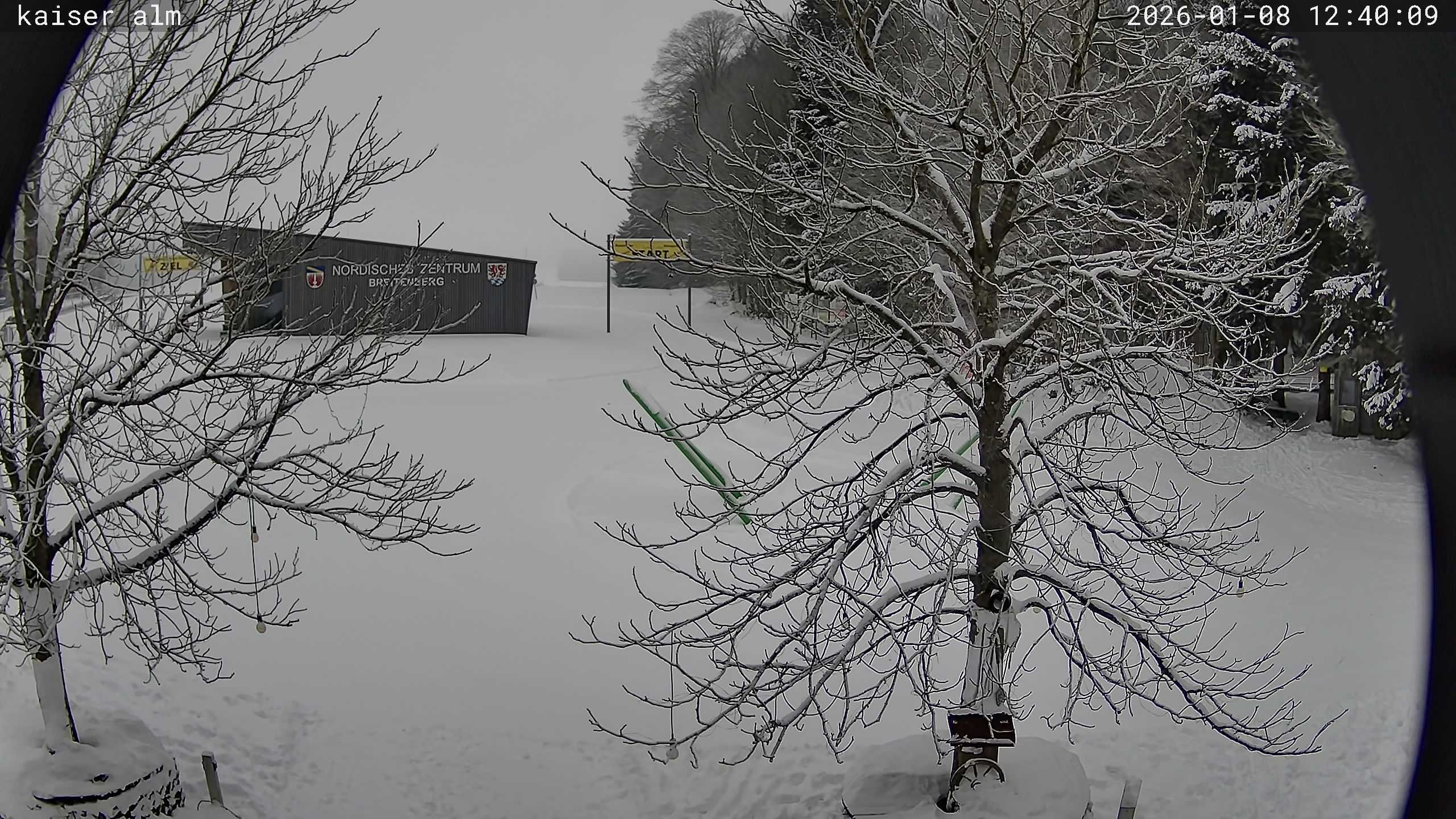 Archiv Foto Webcam Kaiseralm Breitenberg