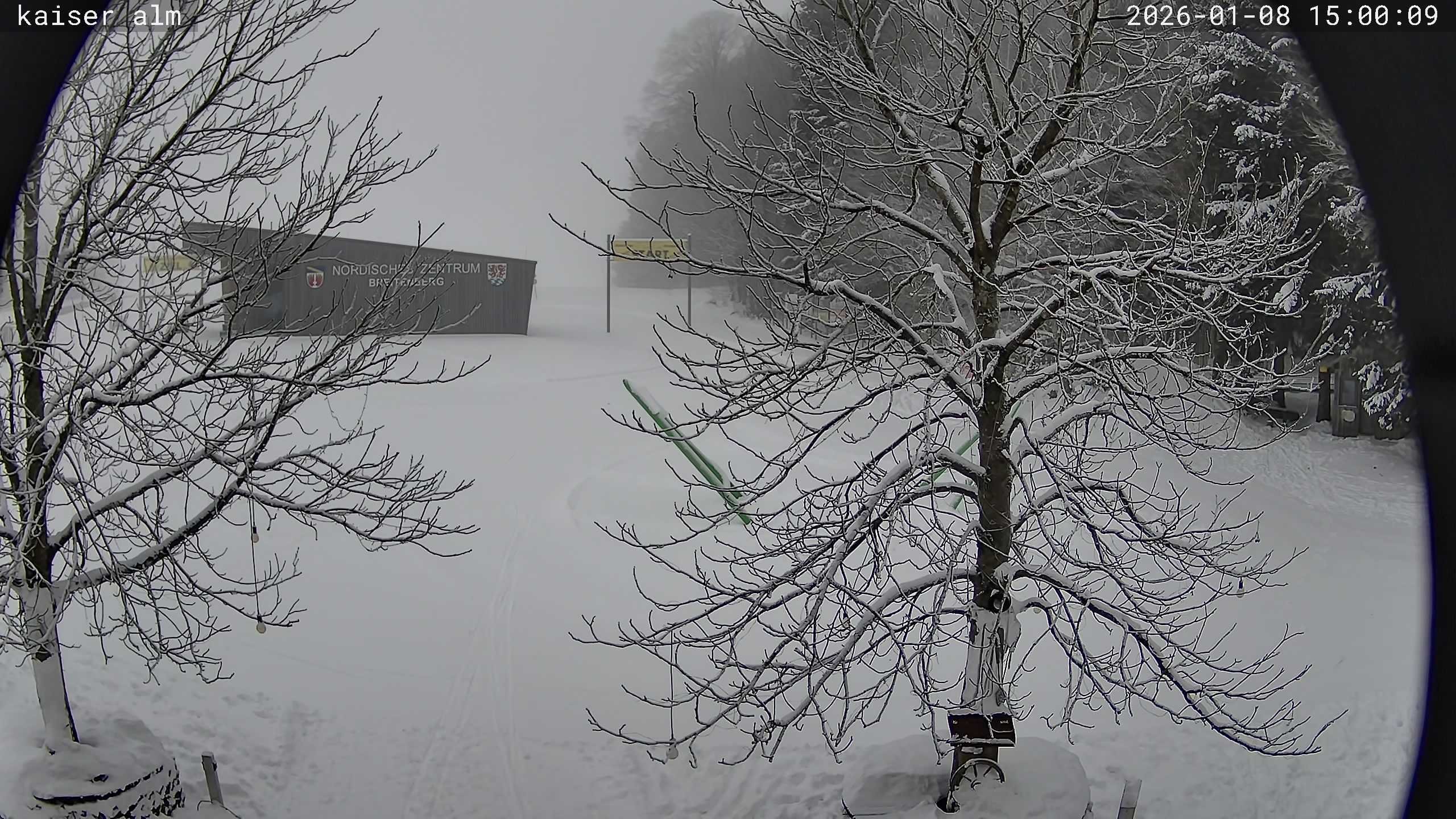 Archiv Foto Webcam Kaiseralm Breitenberg