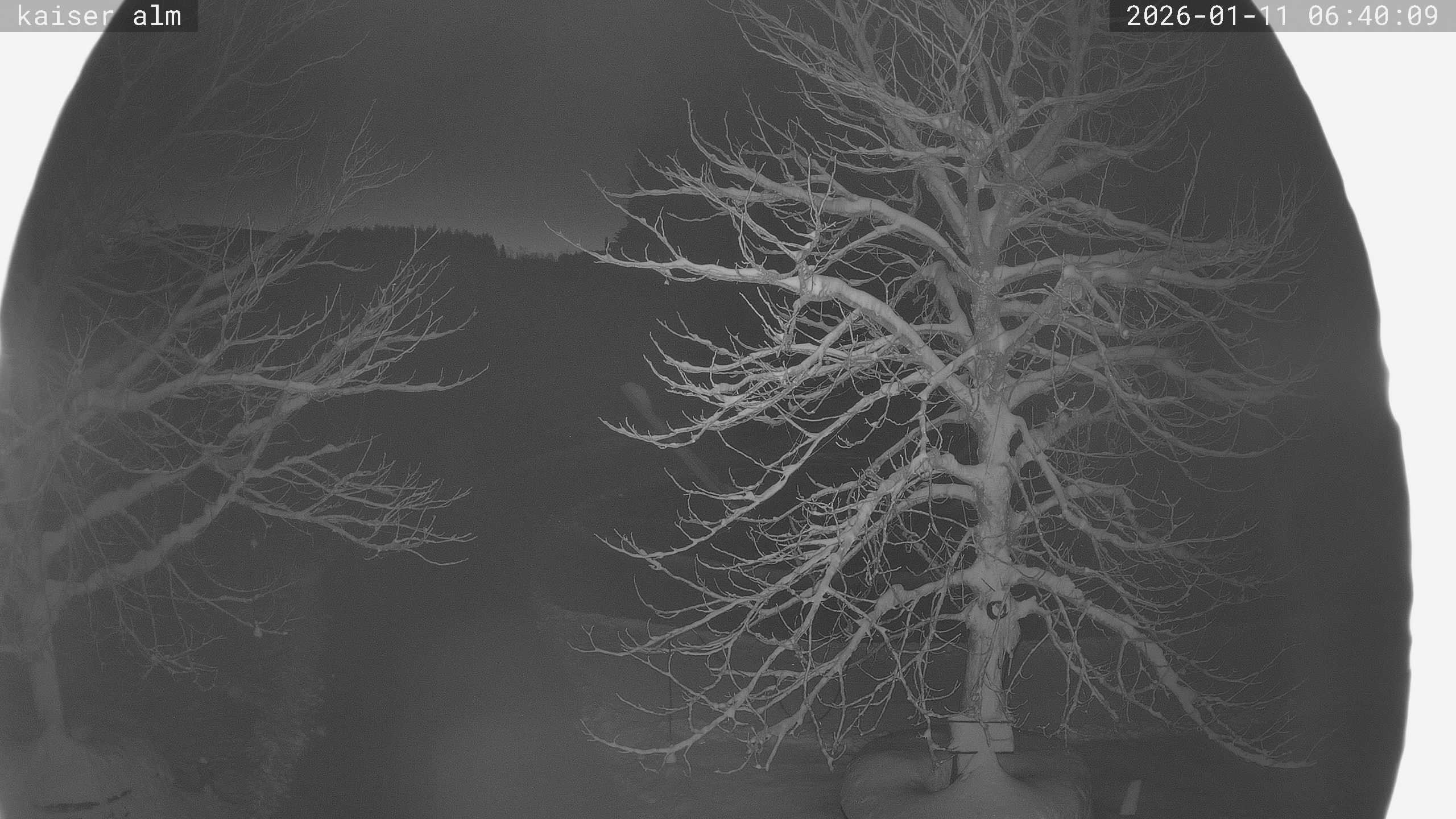 Archived image Breitenberg - Webcam at Kaiseralm