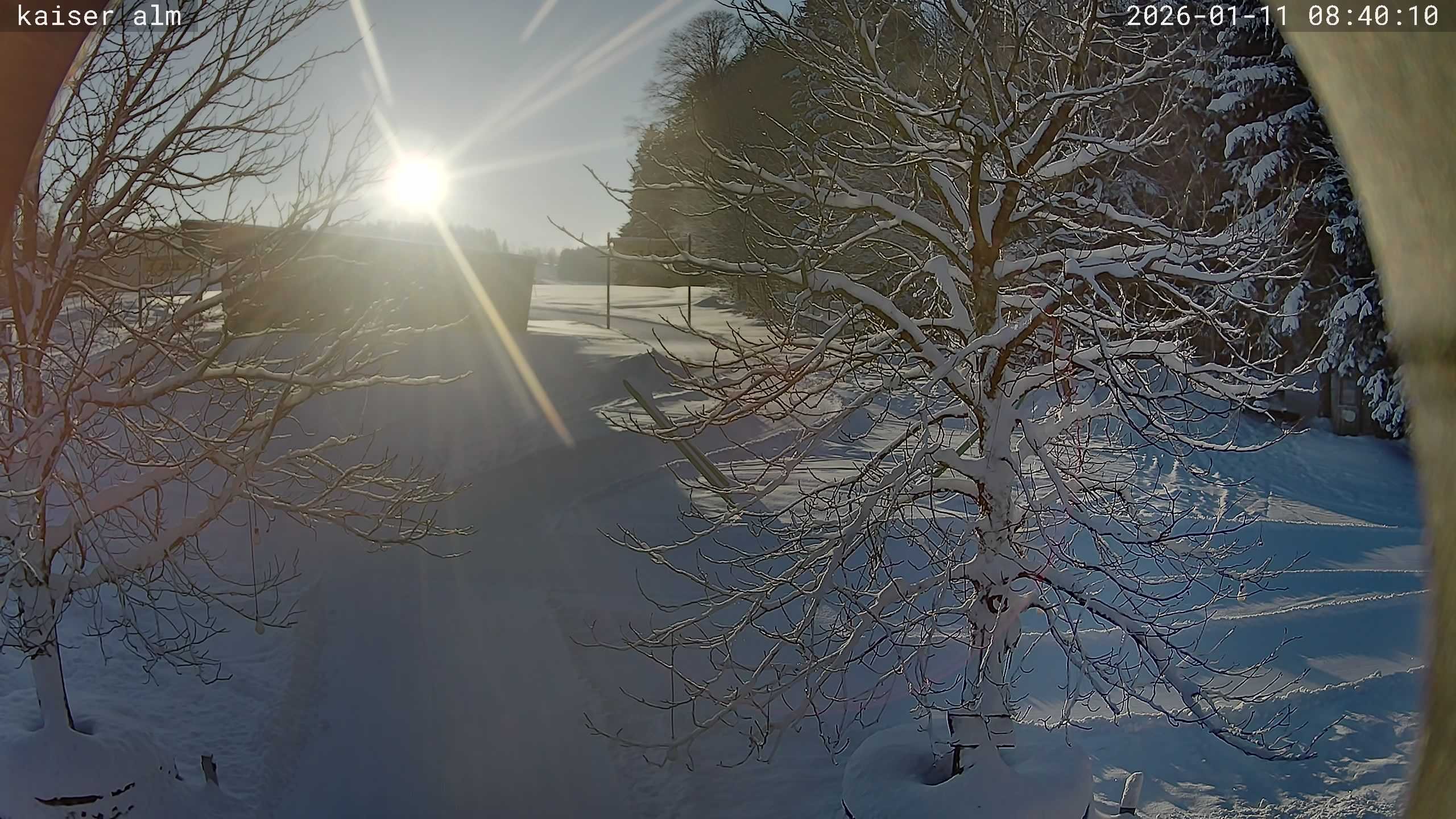 Archived image Breitenberg - Webcam at Kaiseralm