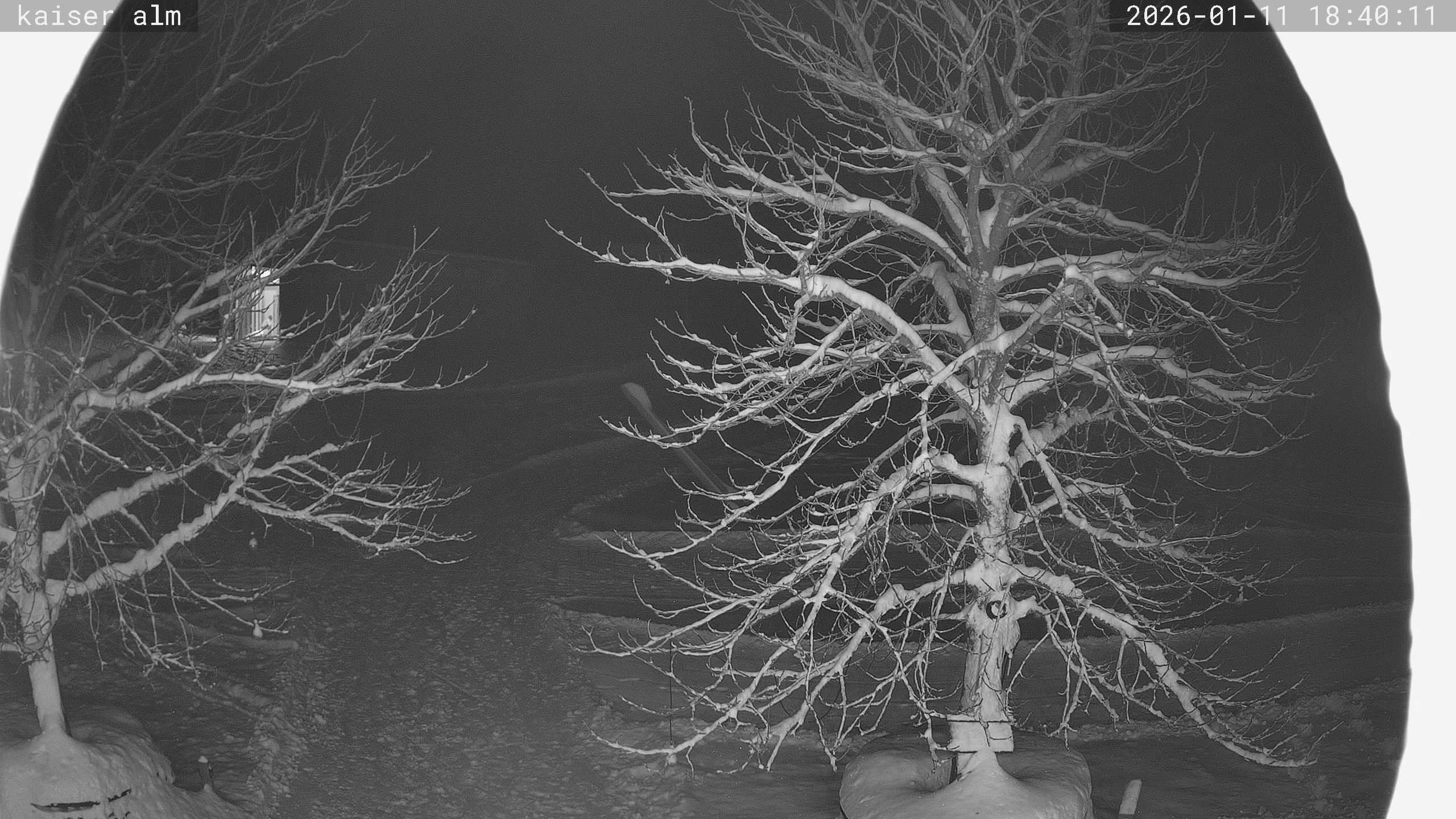 Archived image Breitenberg - Webcam at Kaiseralm