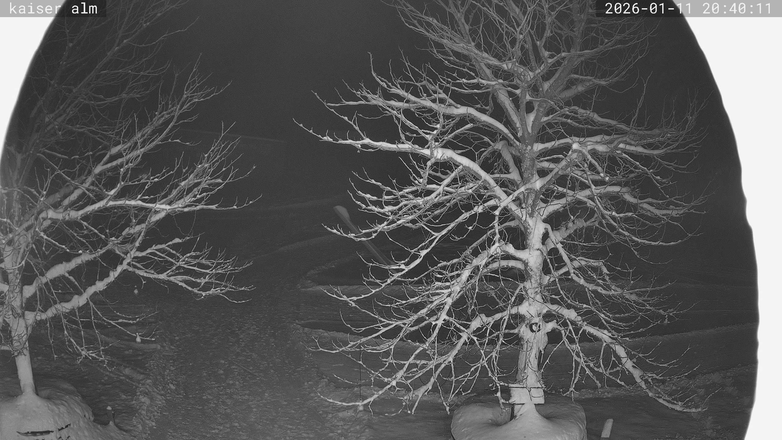 Archived image Breitenberg - Webcam at Kaiseralm