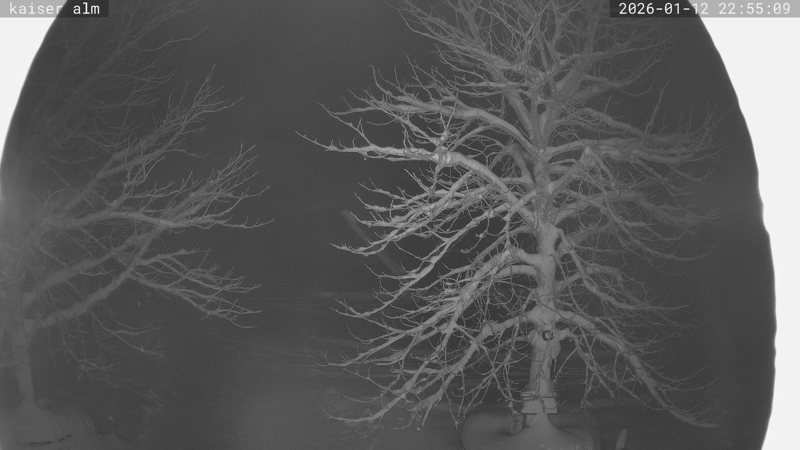 Archiv Foto Webcam Kaiseralm Breitenberg