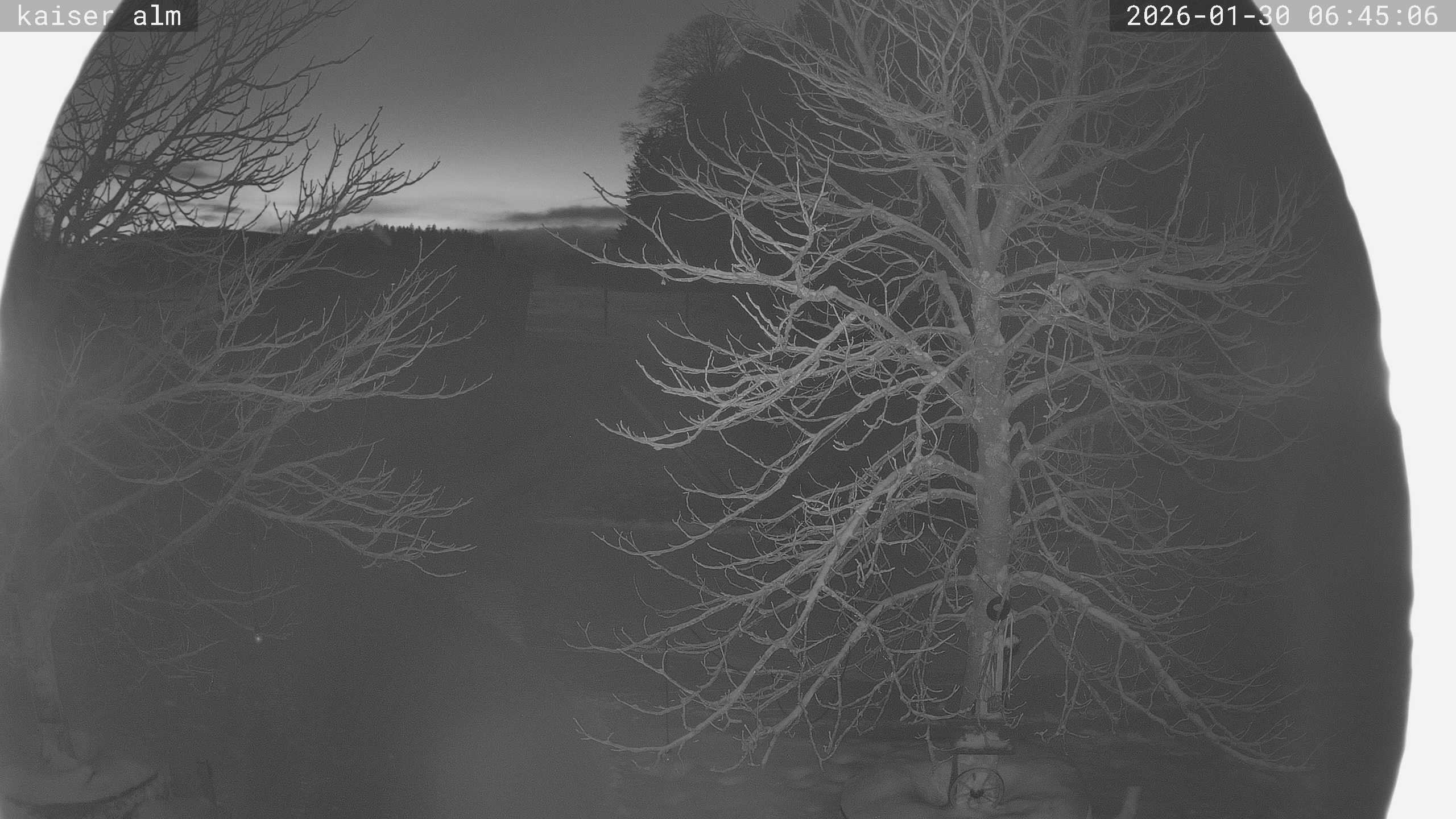 Archiv Foto Webcam Kaiseralm Breitenberg