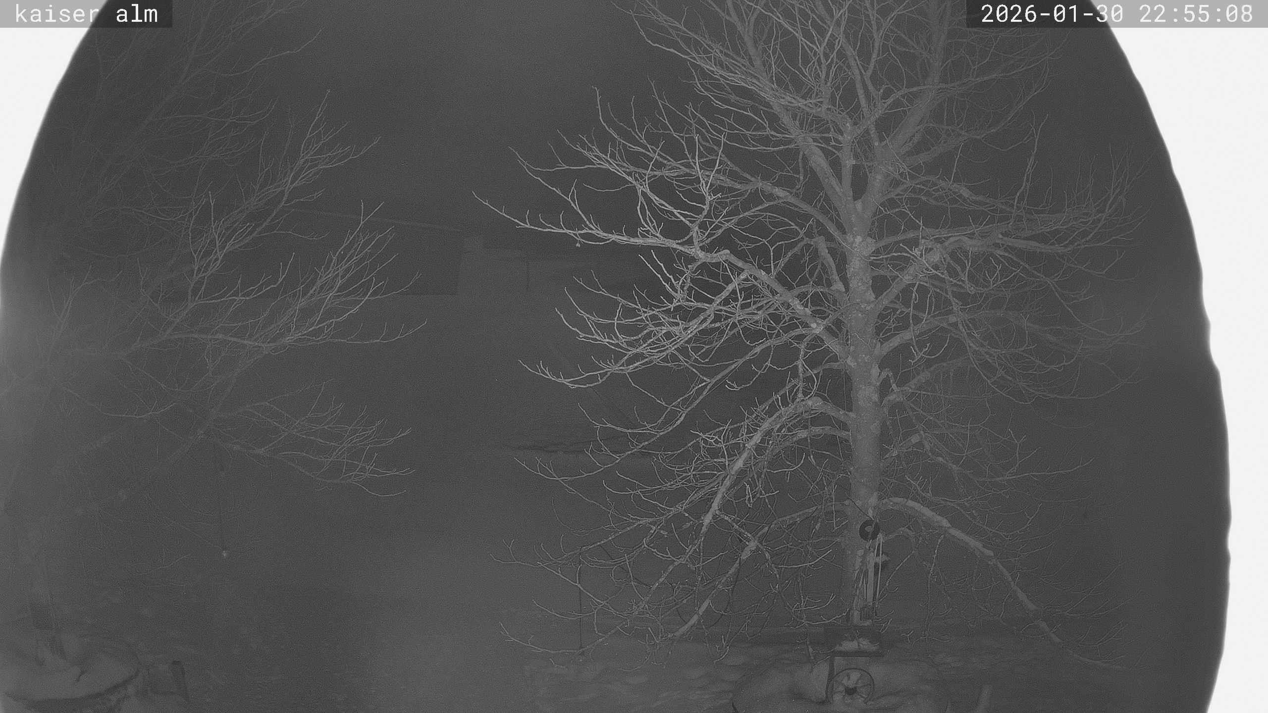 Archiv Foto Webcam Kaiseralm Breitenberg