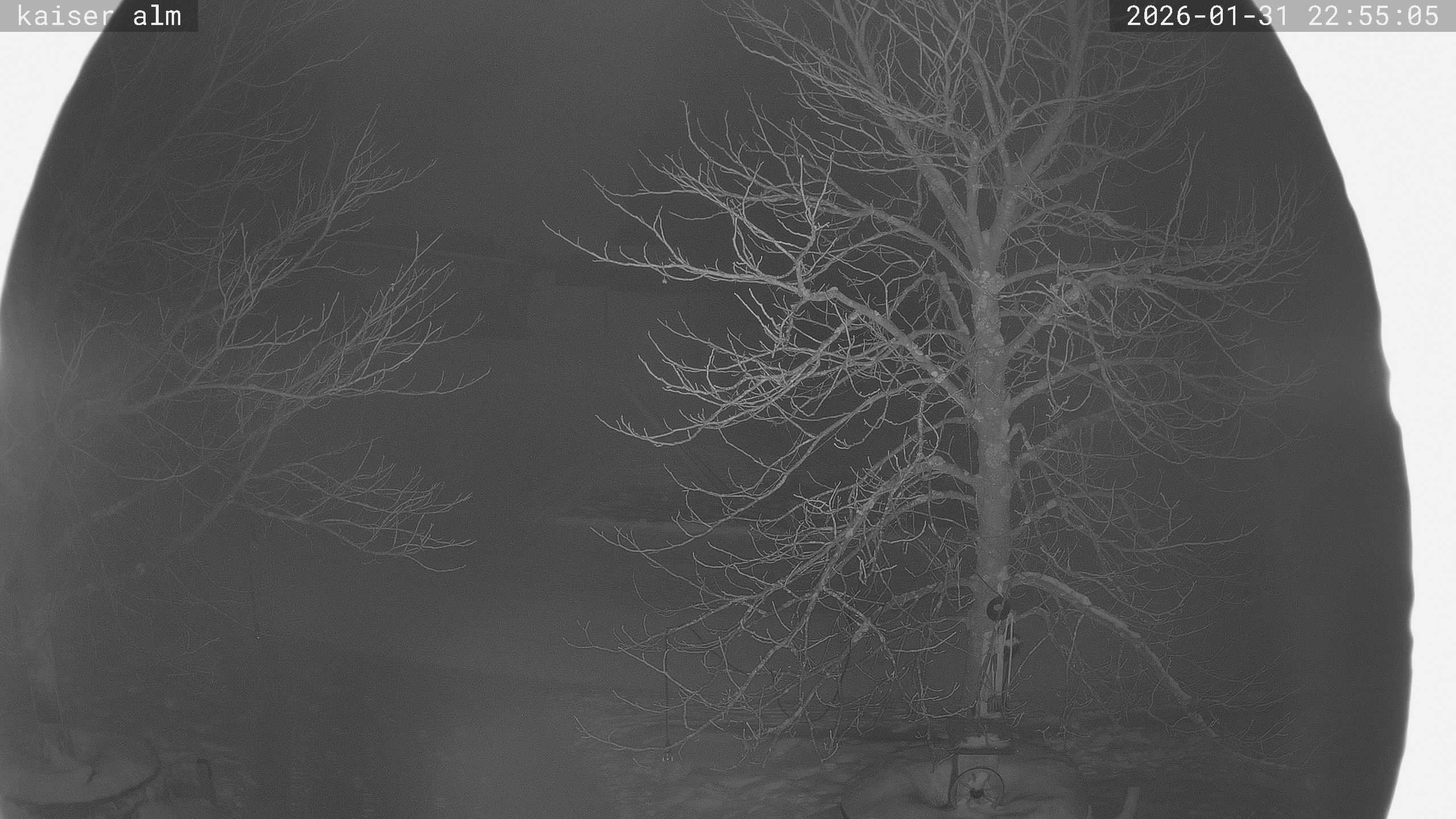 Archiv Foto Webcam Kaiseralm Breitenberg