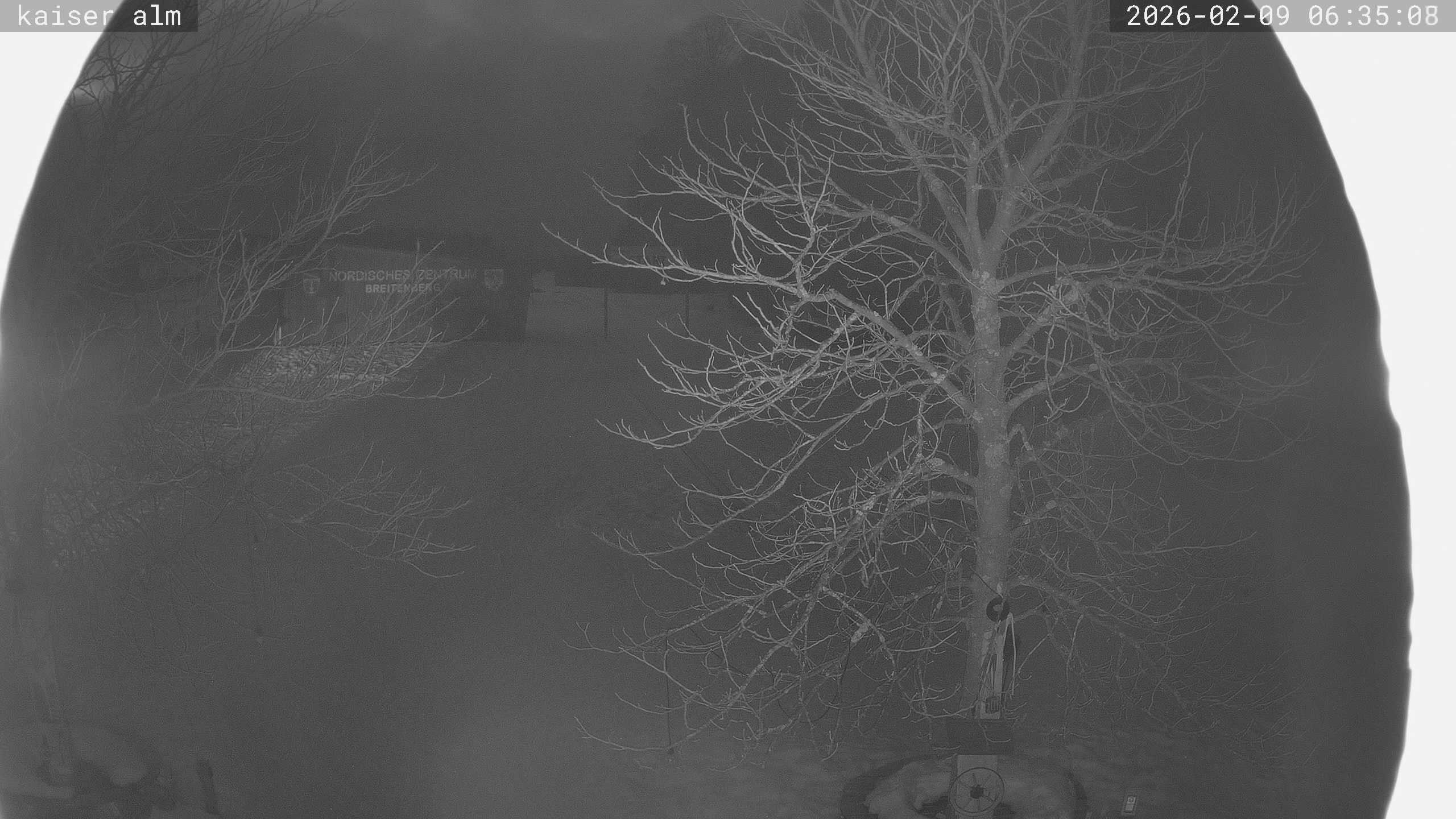 Archiv Foto Webcam Kaiseralm Breitenberg