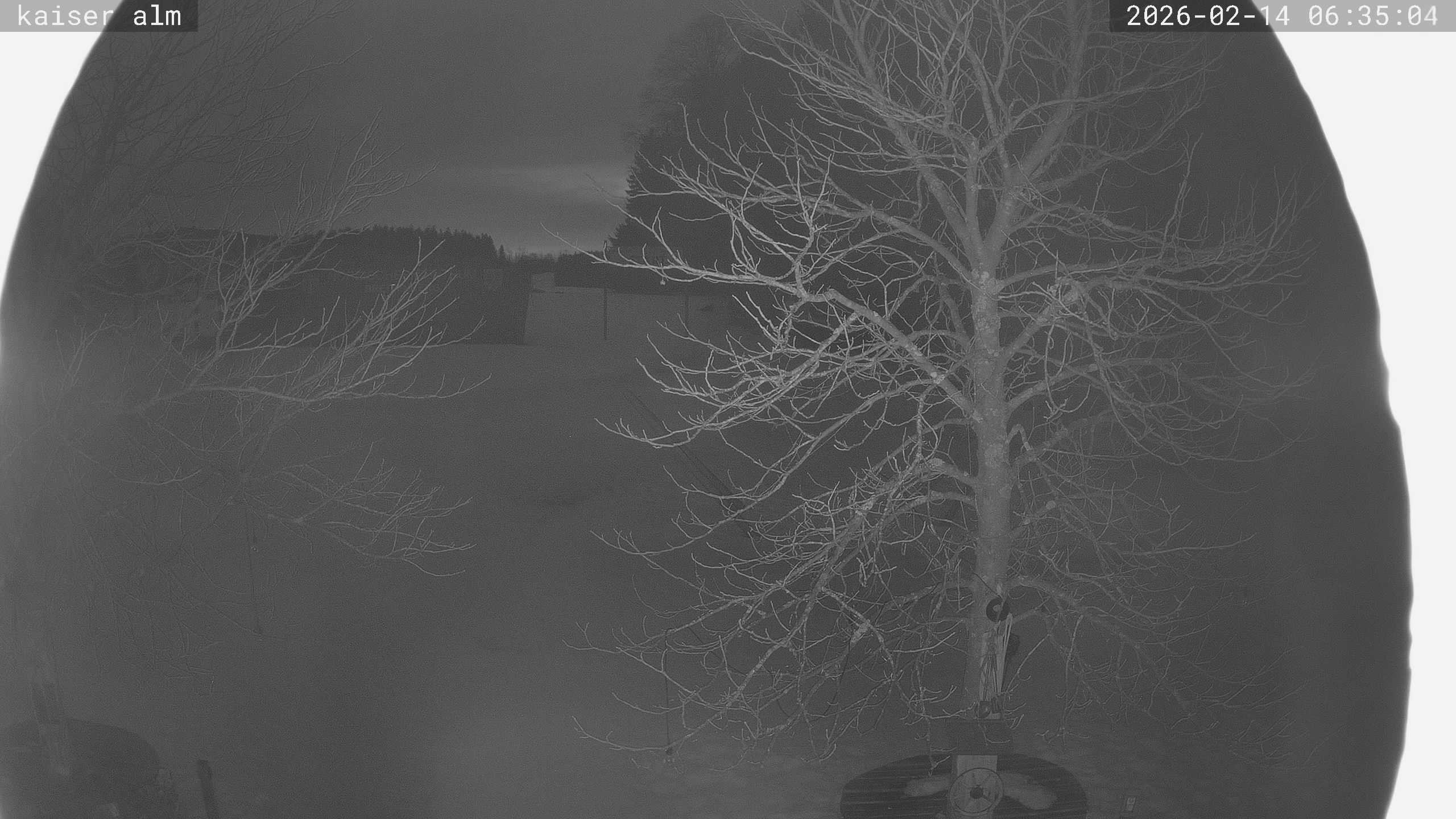 Archived image Breitenberg - Webcam at Kaiseralm