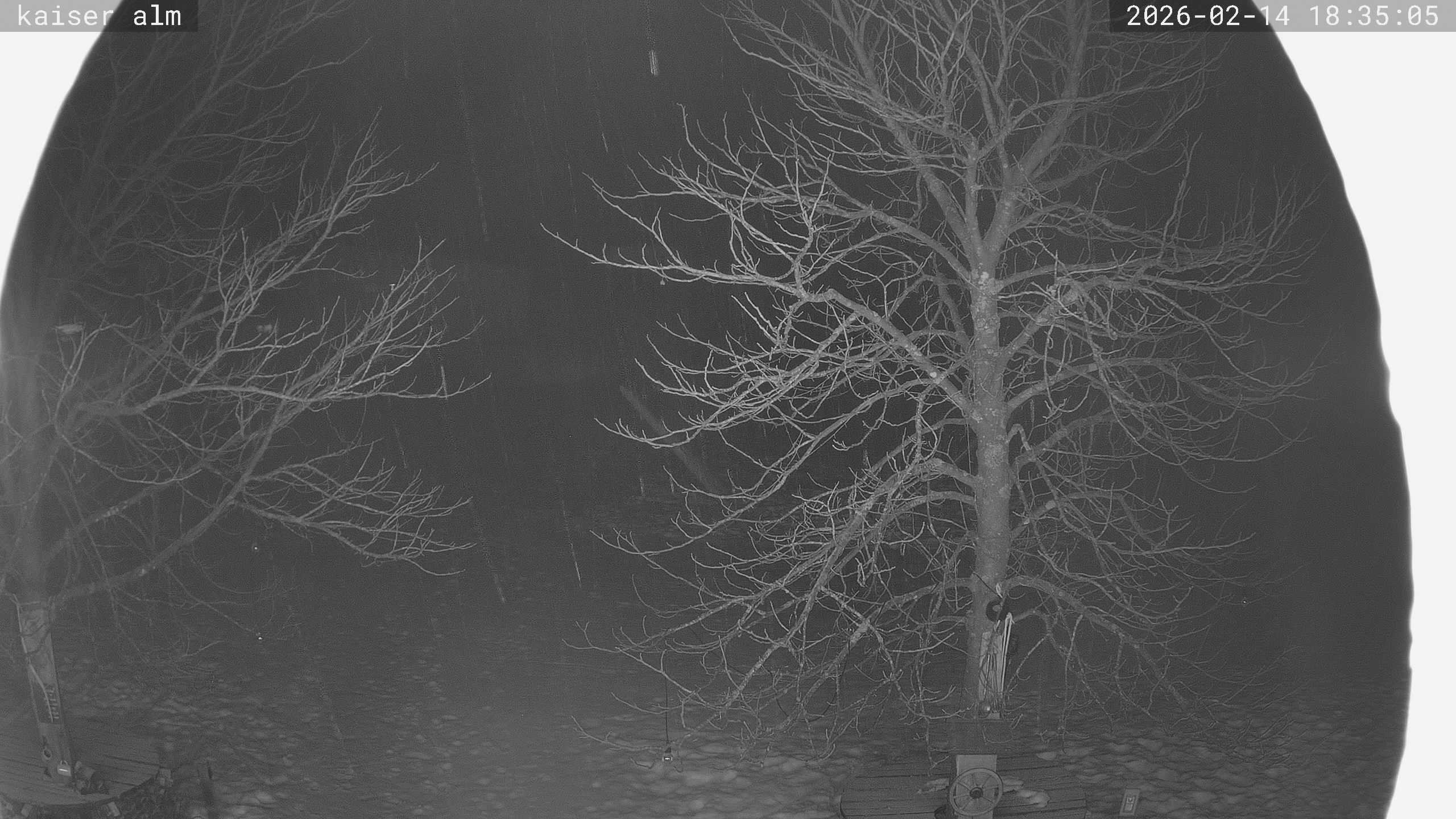 Archived image Breitenberg - Webcam at Kaiseralm