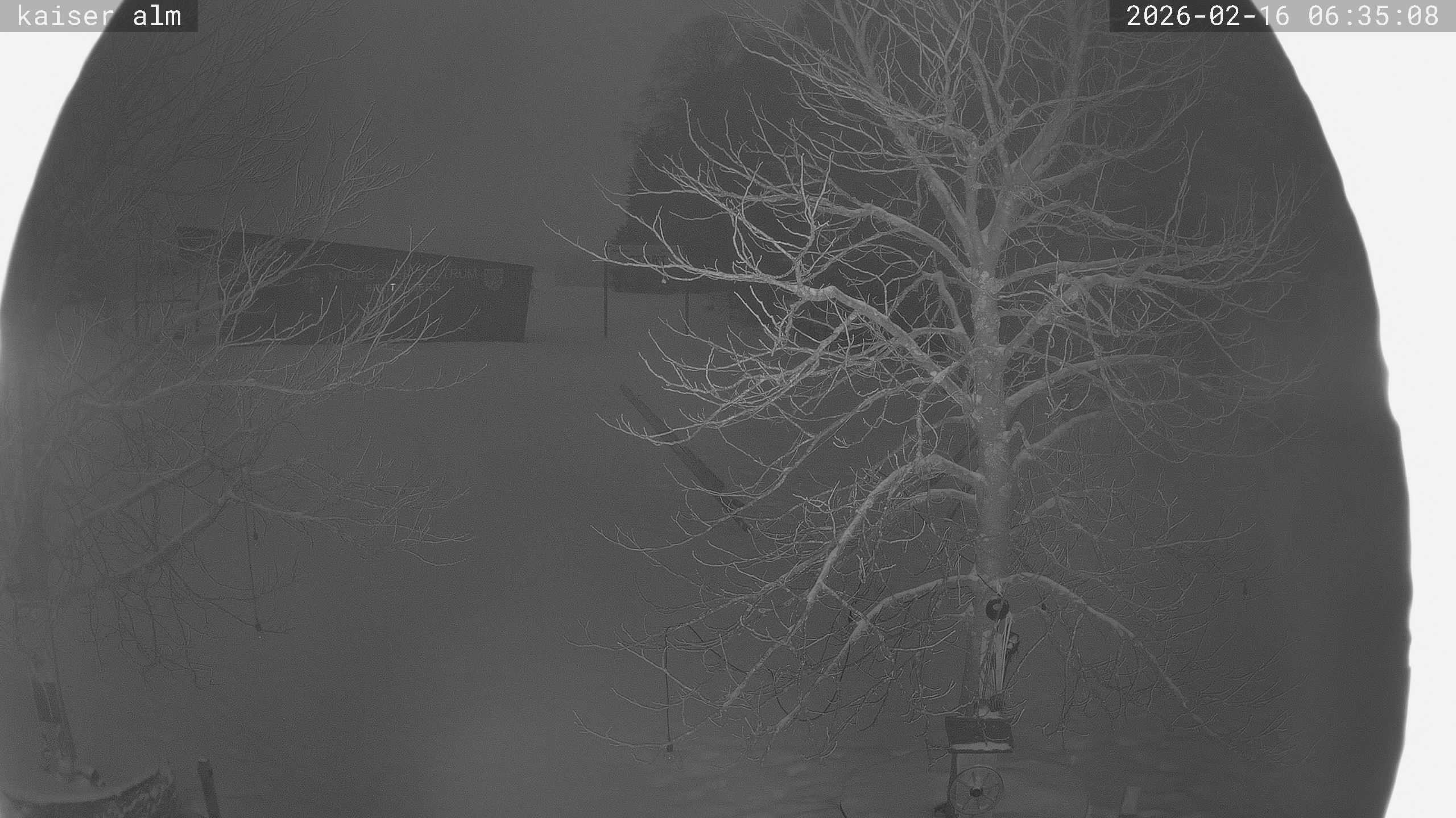 Archiv Foto Webcam Kaiseralm Breitenberg