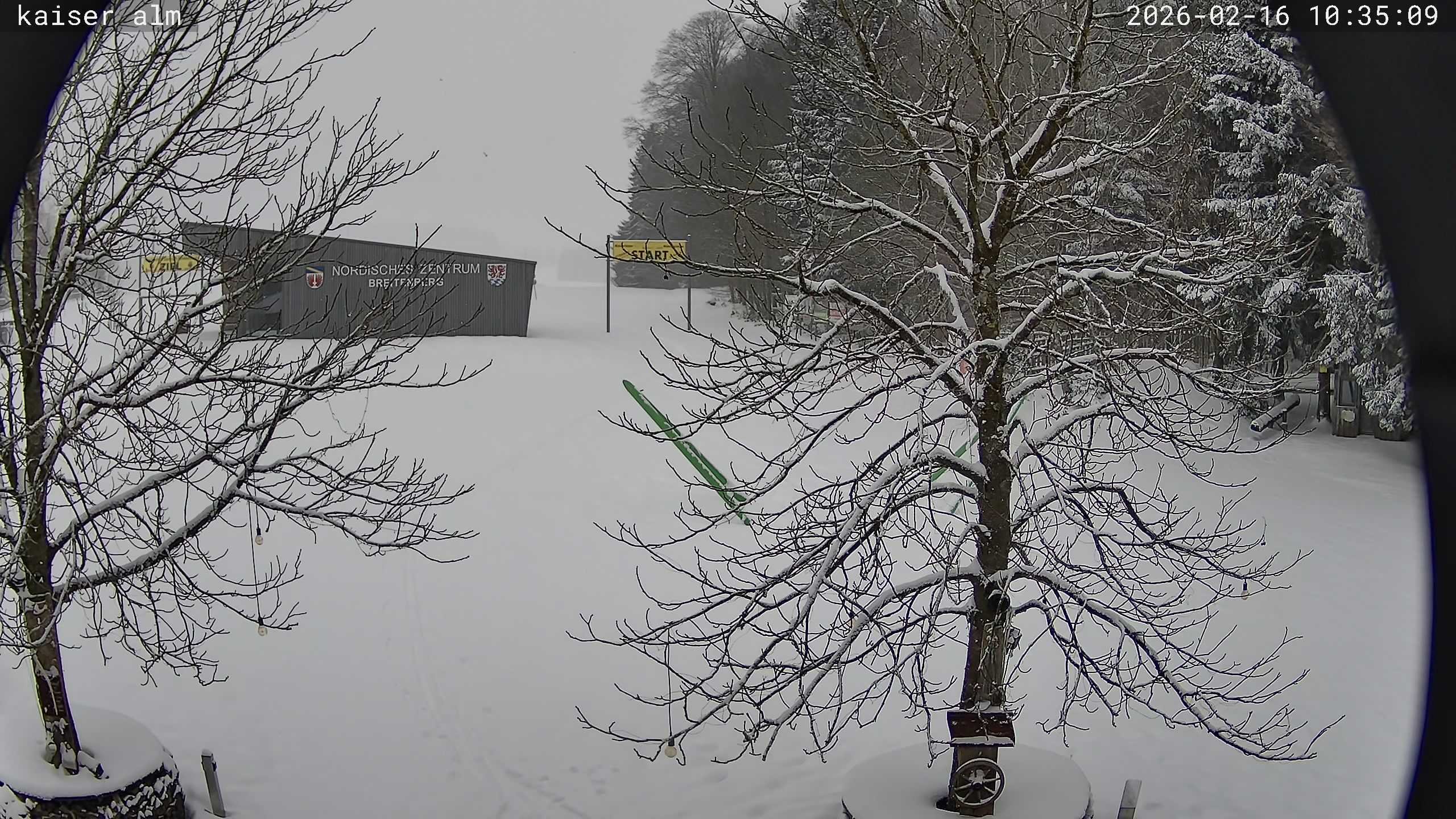 Archiv Foto Webcam Kaiseralm Breitenberg