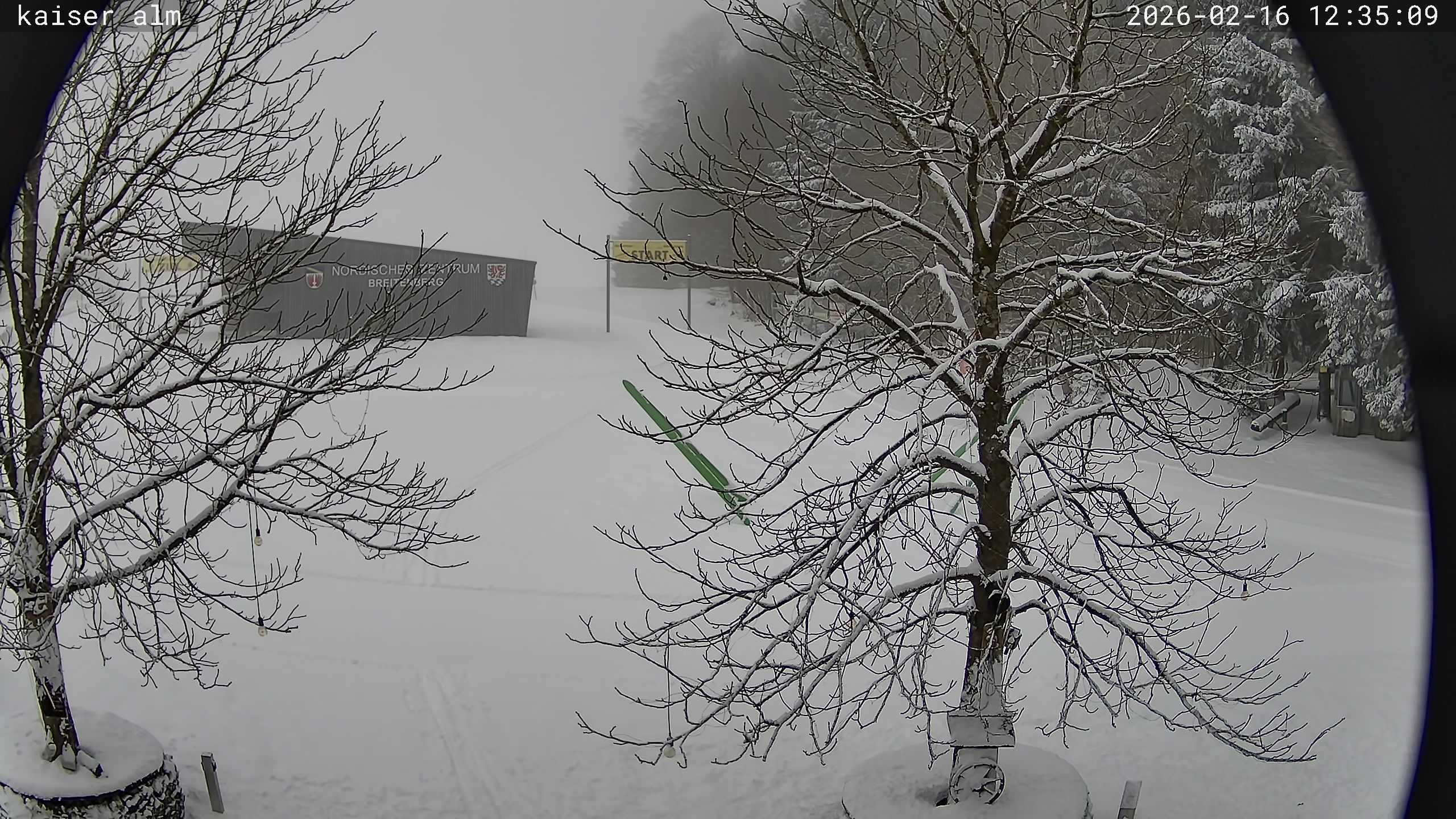 Archiv Foto Webcam Kaiseralm Breitenberg