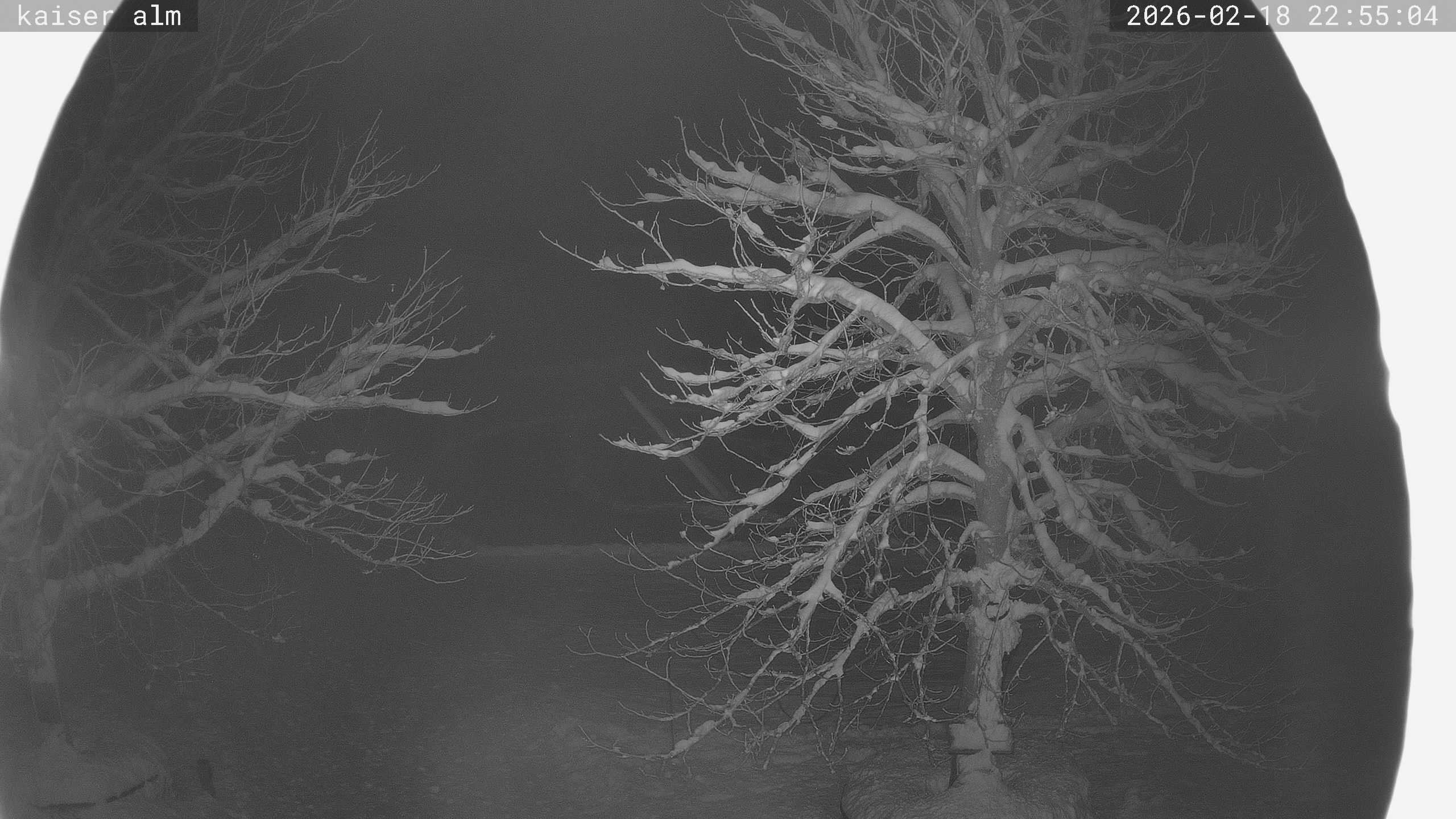 Archiv Foto Webcam Kaiseralm Breitenberg