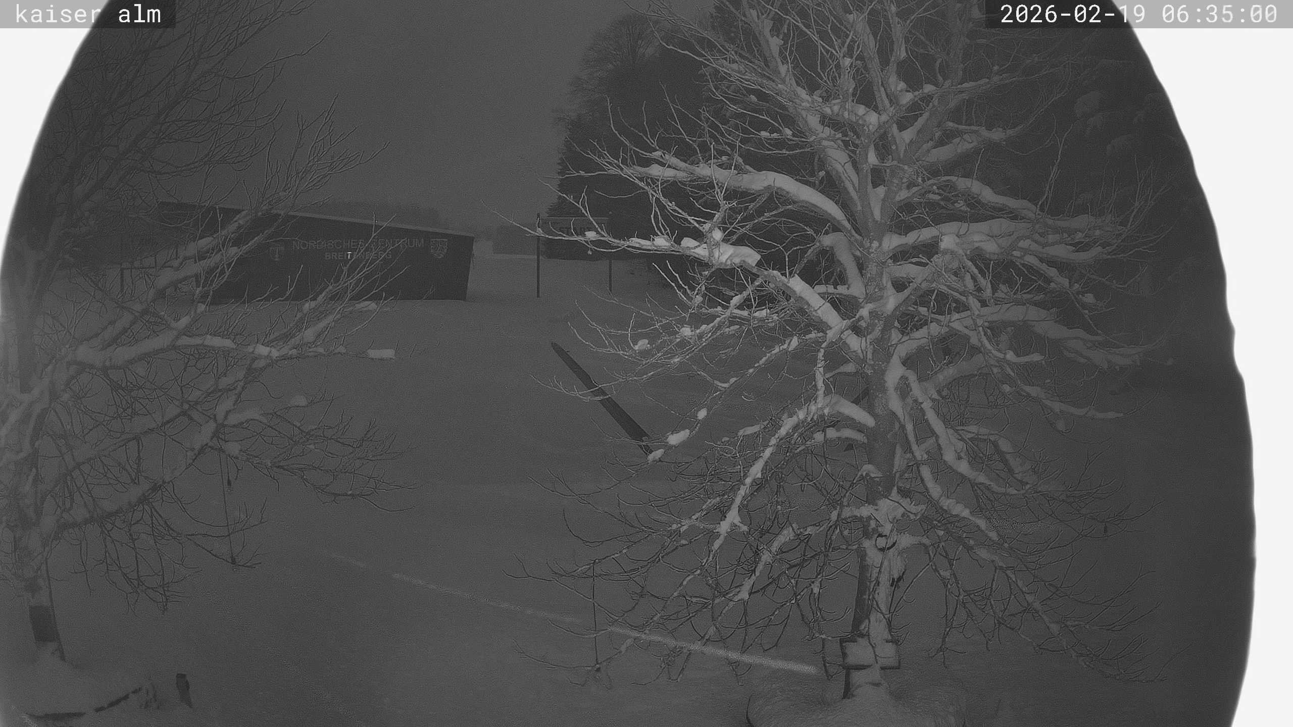 Archiv Foto Webcam Kaiseralm Breitenberg