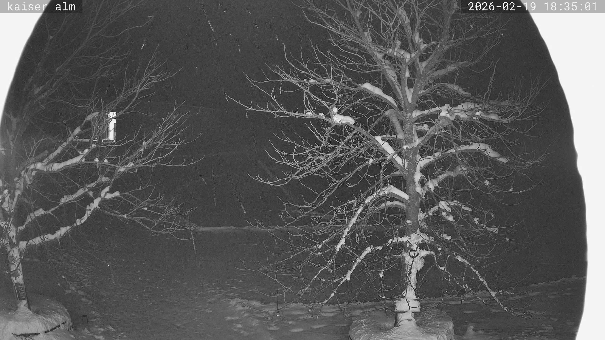 Archiv Foto Webcam Kaiseralm Breitenberg