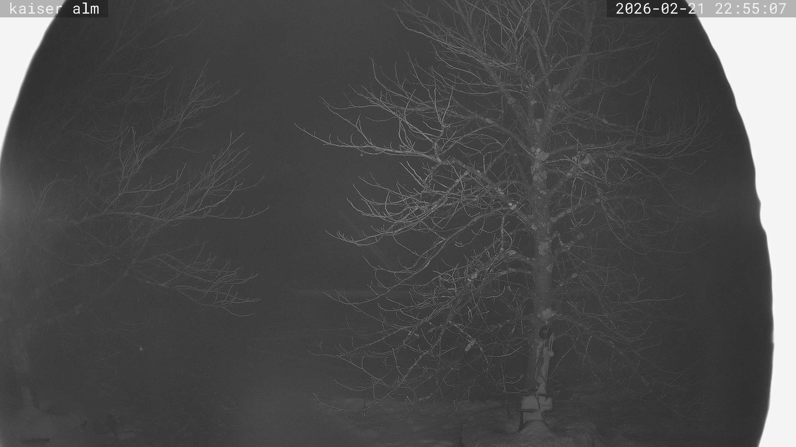 Archiv Foto Webcam Kaiseralm Breitenberg