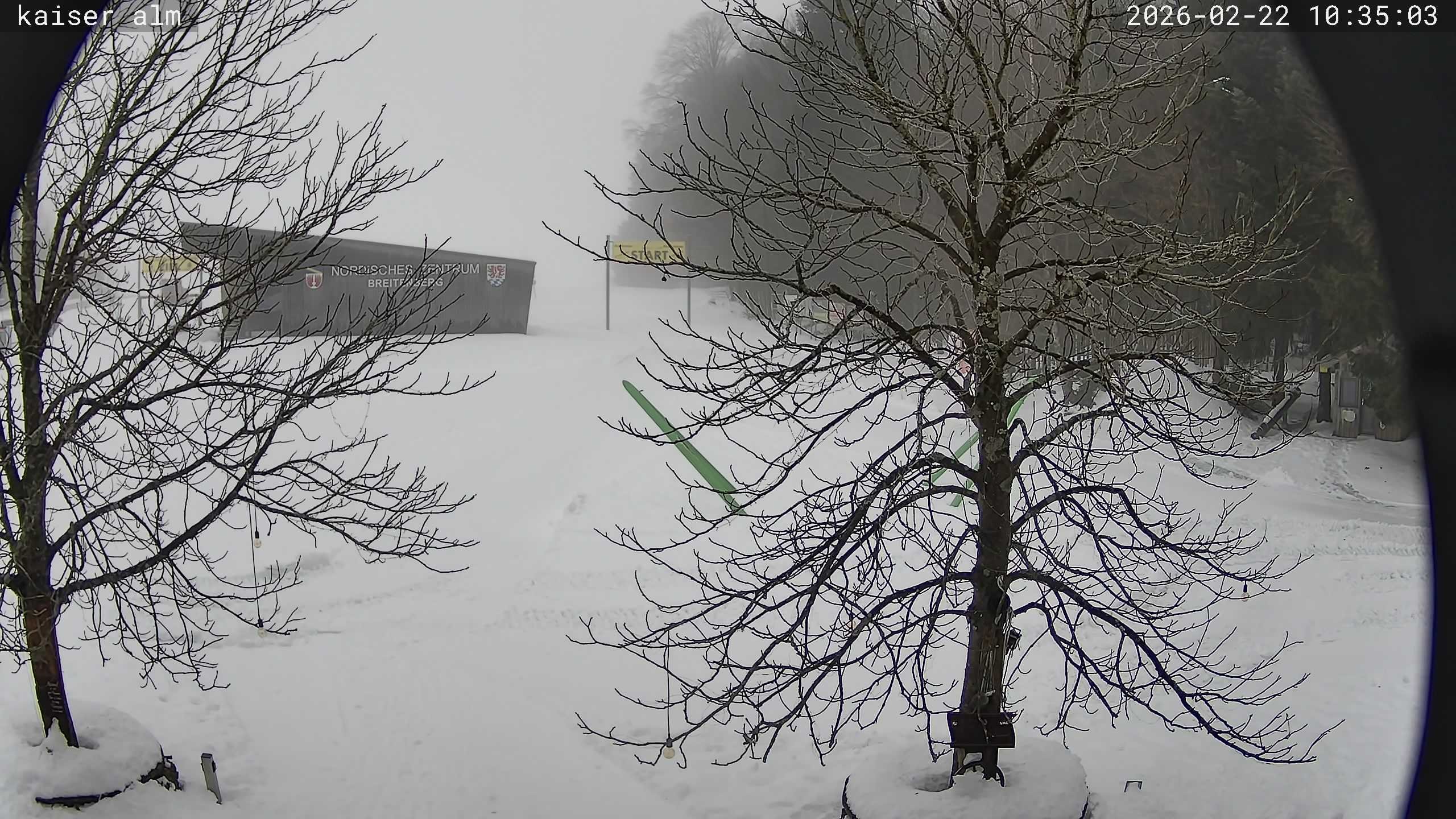 Archiv Foto Webcam Kaiseralm Breitenberg