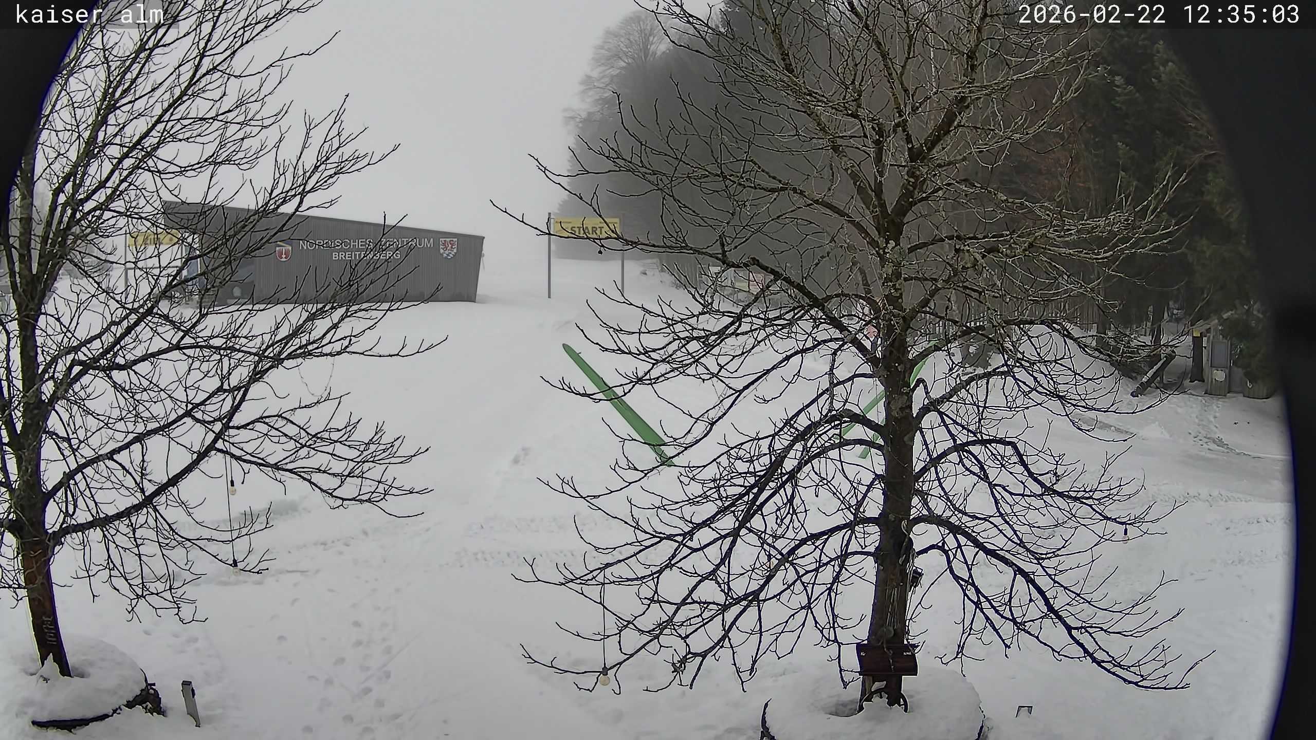 Archiv Foto Webcam Kaiseralm Breitenberg