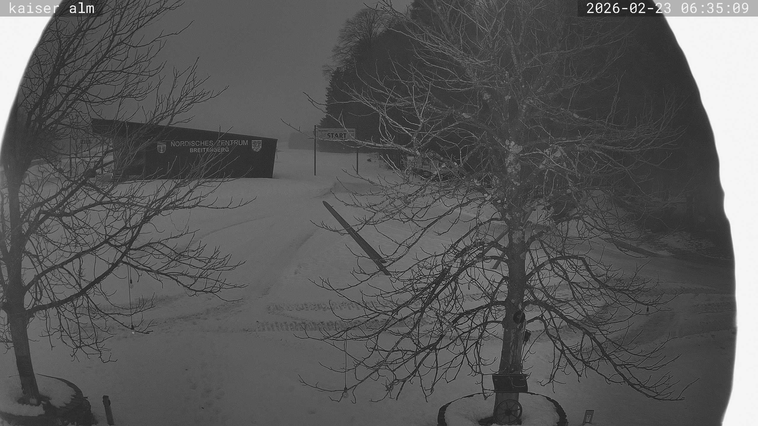 Archiv Foto Webcam Kaiseralm Breitenberg