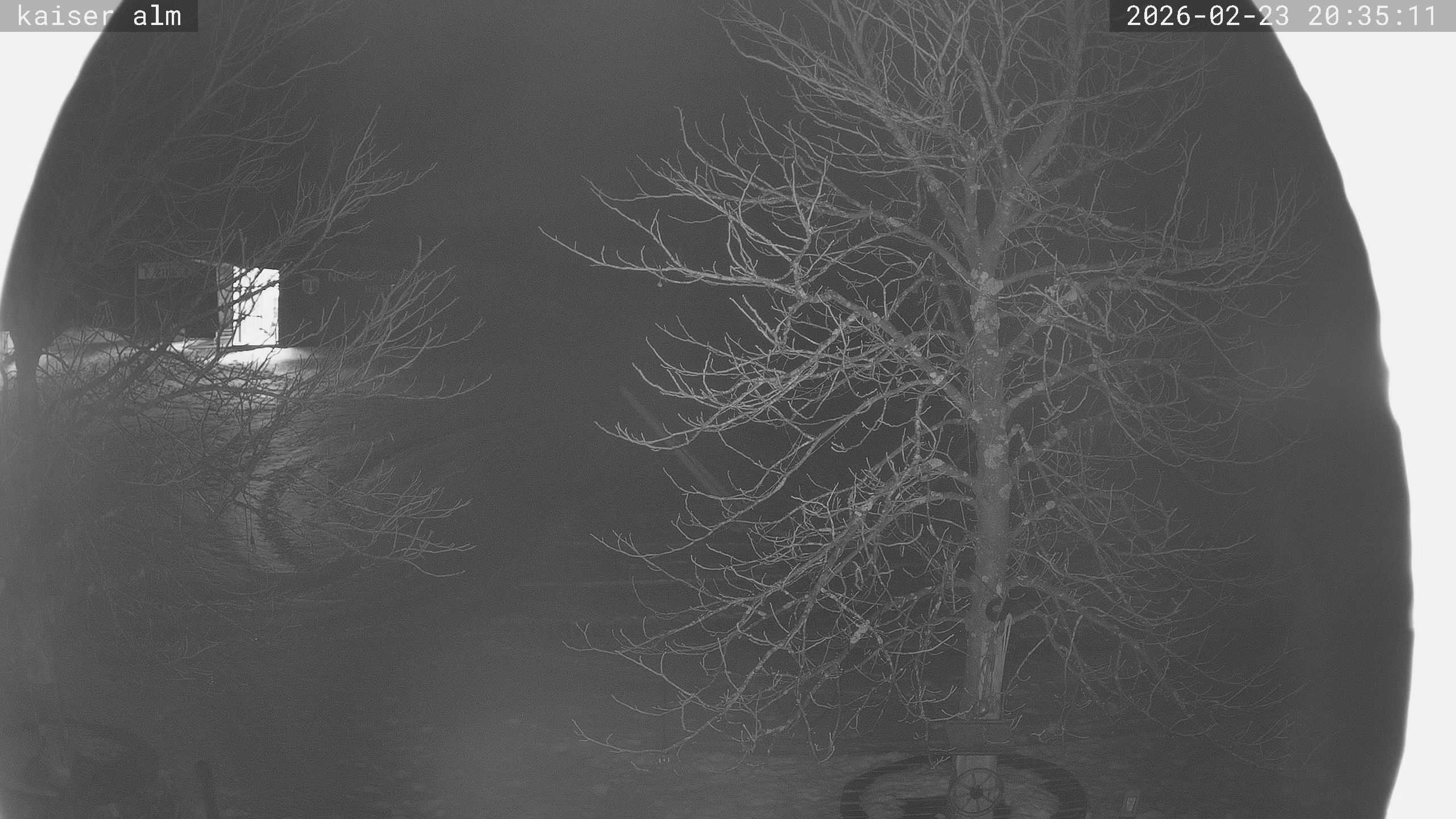 Archiv Foto Webcam Kaiseralm Breitenberg