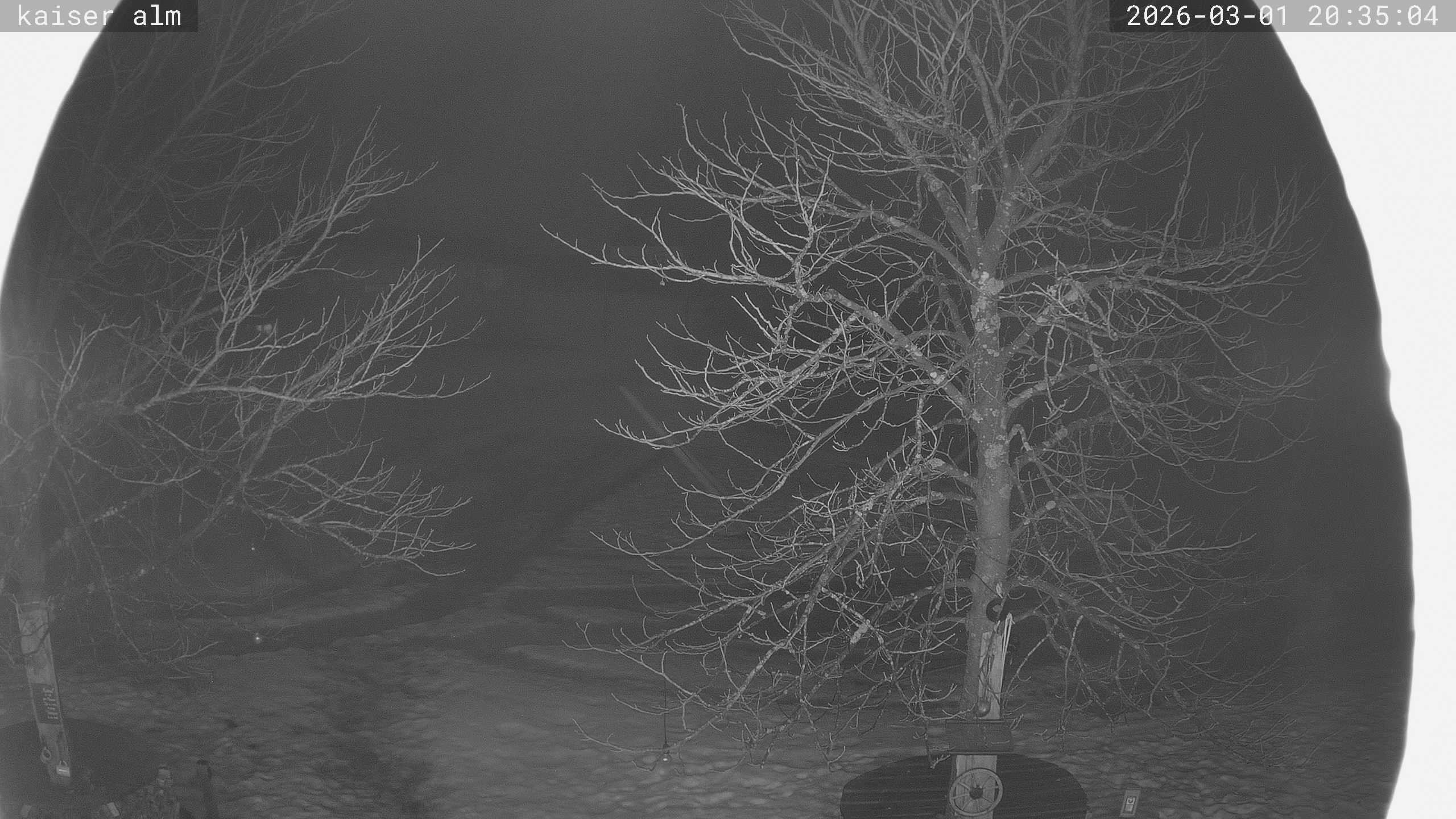 Archiv Foto Webcam Kaiseralm Breitenberg