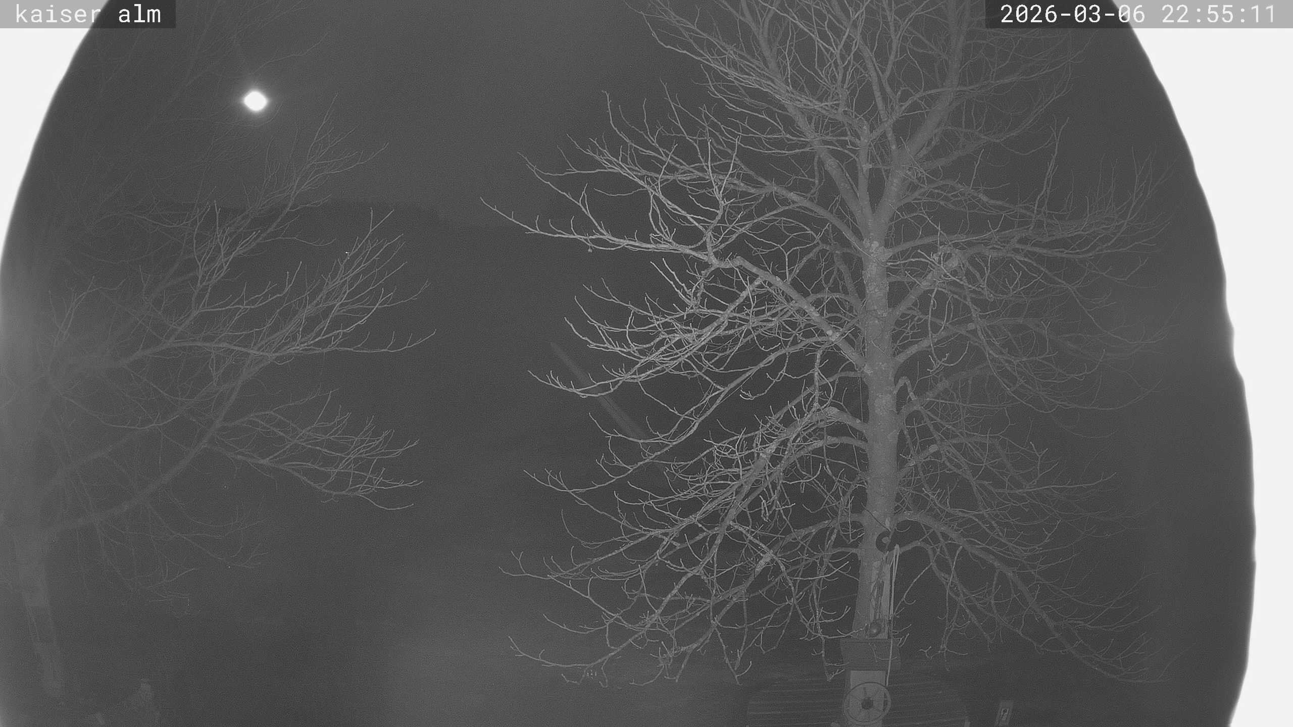 Archiv Foto Webcam Kaiseralm Breitenberg