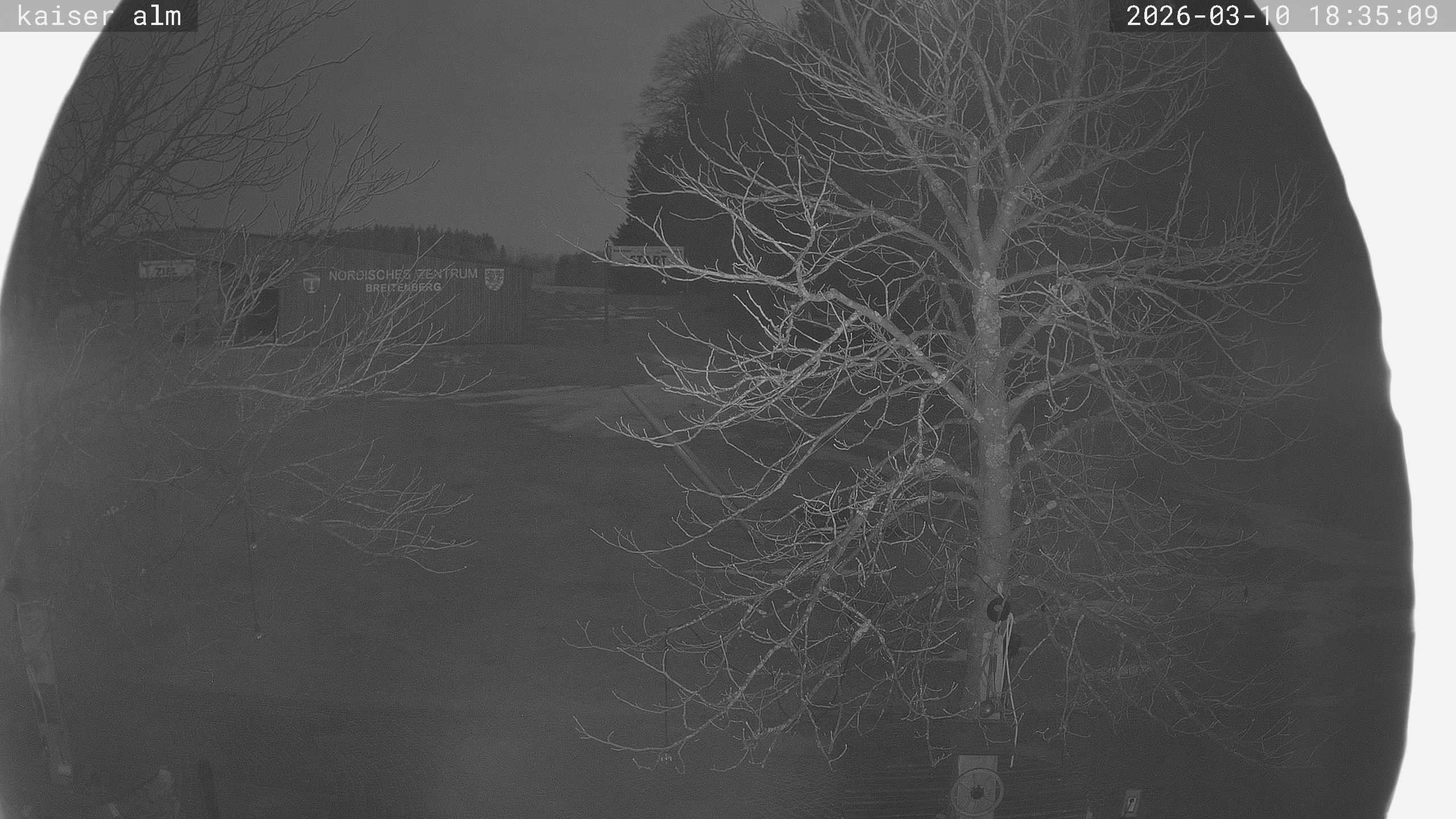 Archiv Foto Webcam Kaiseralm Breitenberg