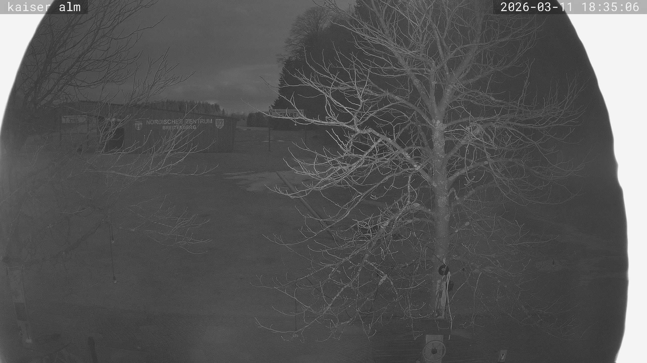 Archiv Foto Webcam Kaiseralm Breitenberg