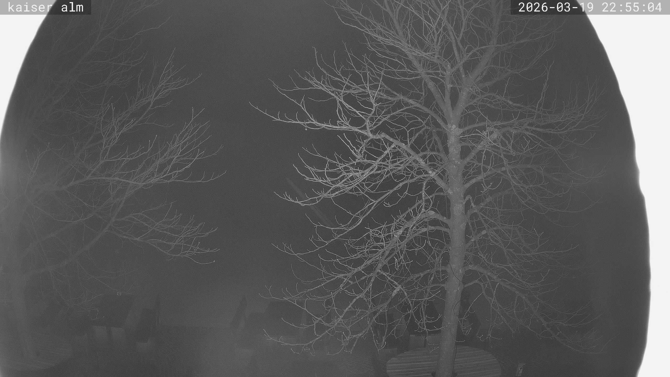 Archived image Breitenberg - Webcam at Kaiseralm