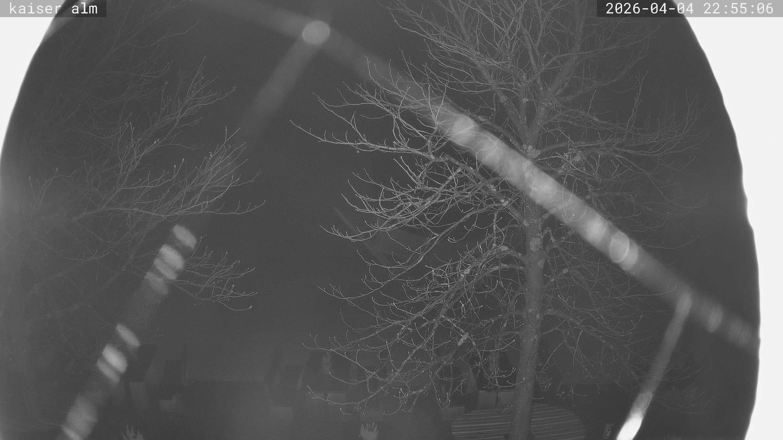 Archiv Foto Webcam Kaiseralm Breitenberg