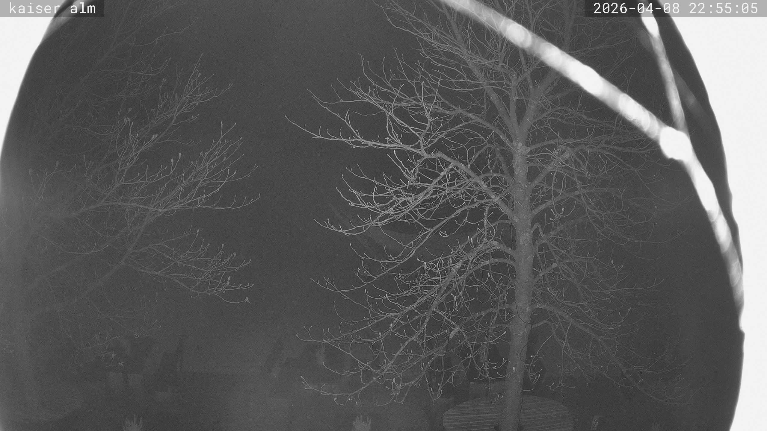 Archiv Foto Webcam Kaiseralm Breitenberg